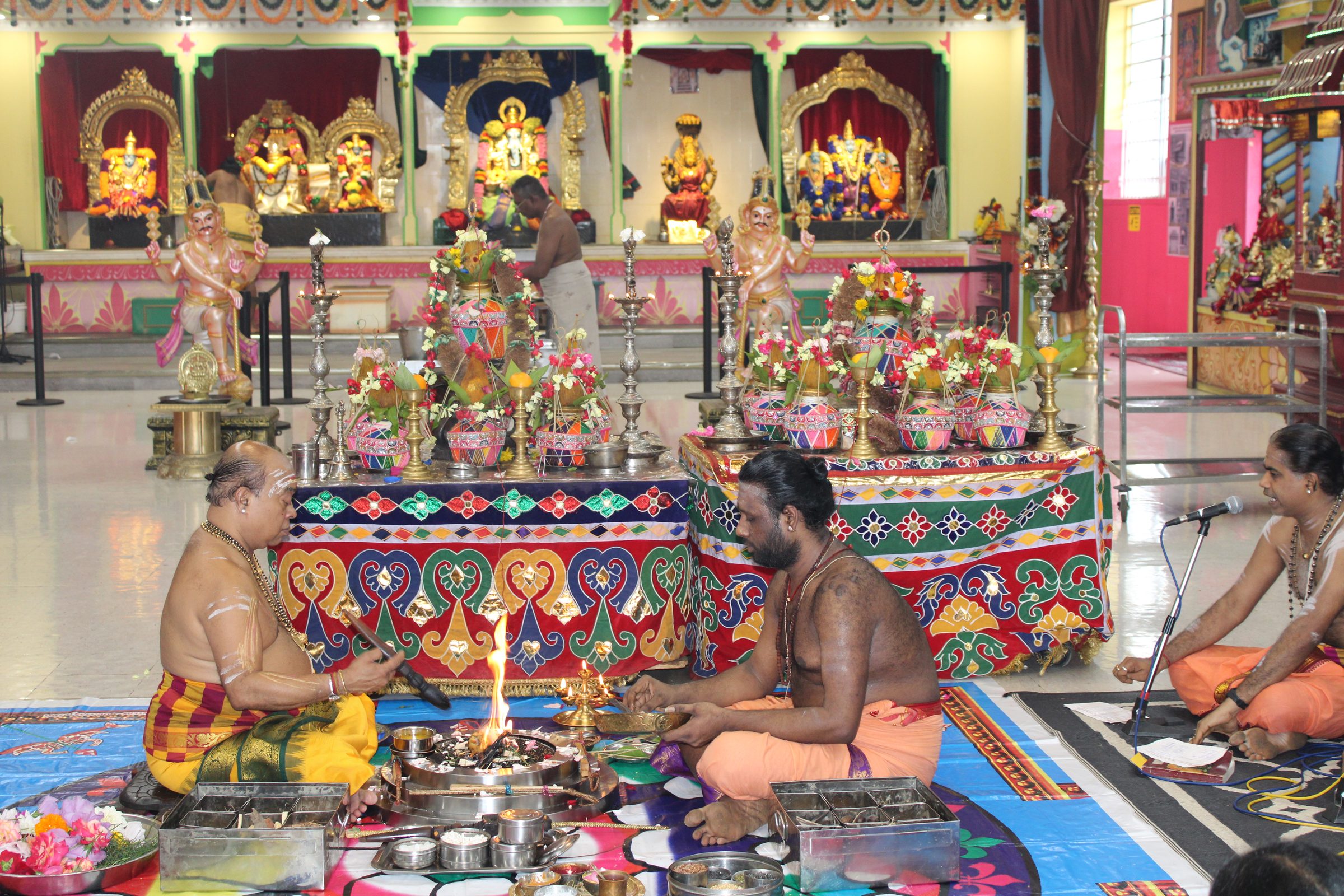 Festival 2024 photo