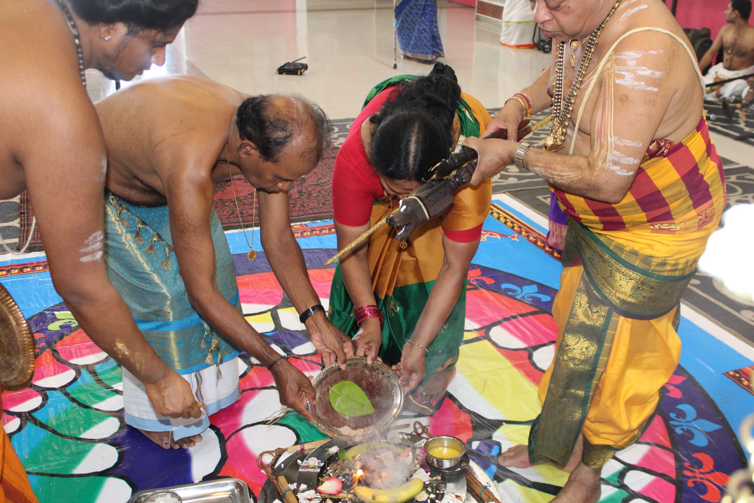 Festival 2024 photo