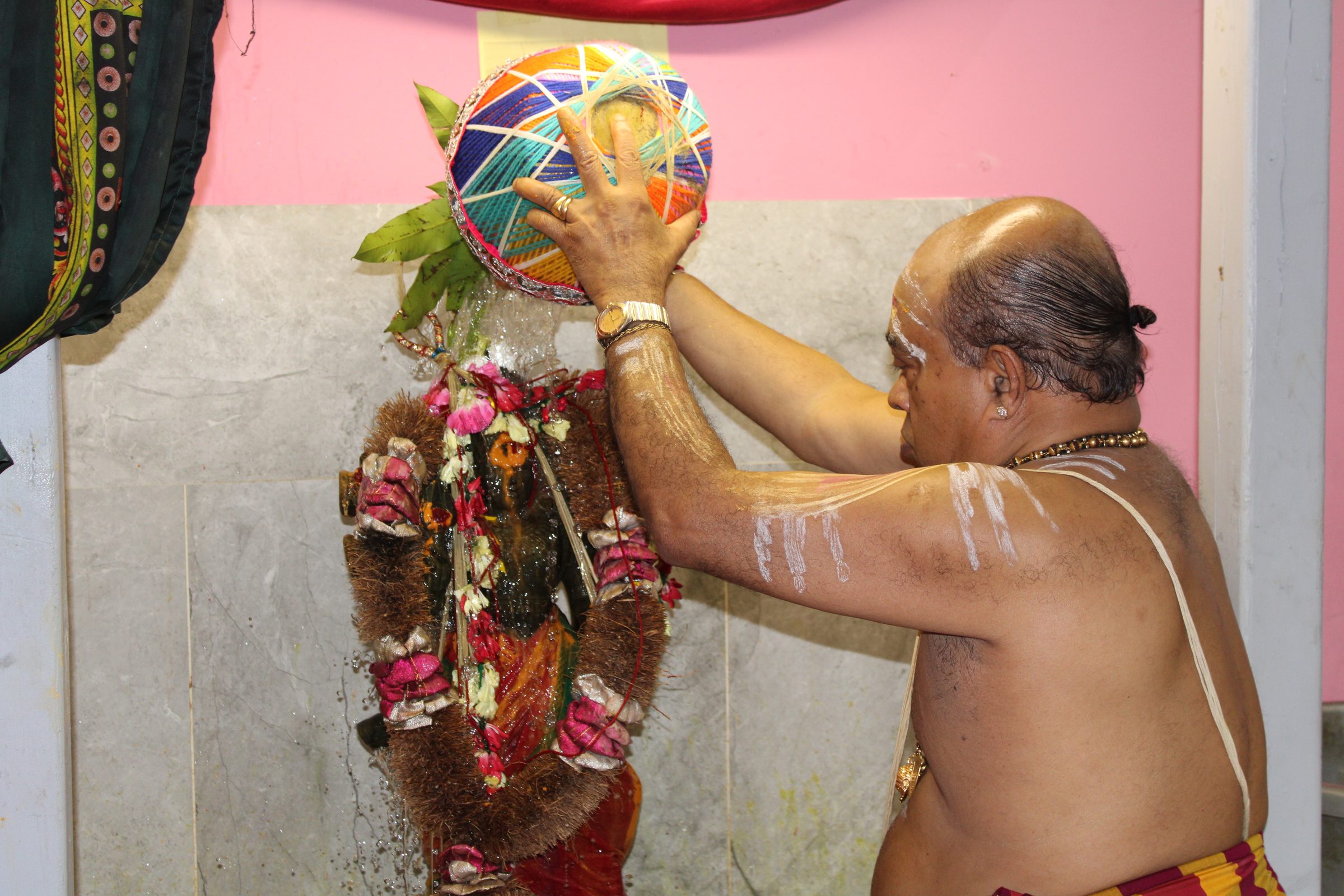 Festival 2024 photo