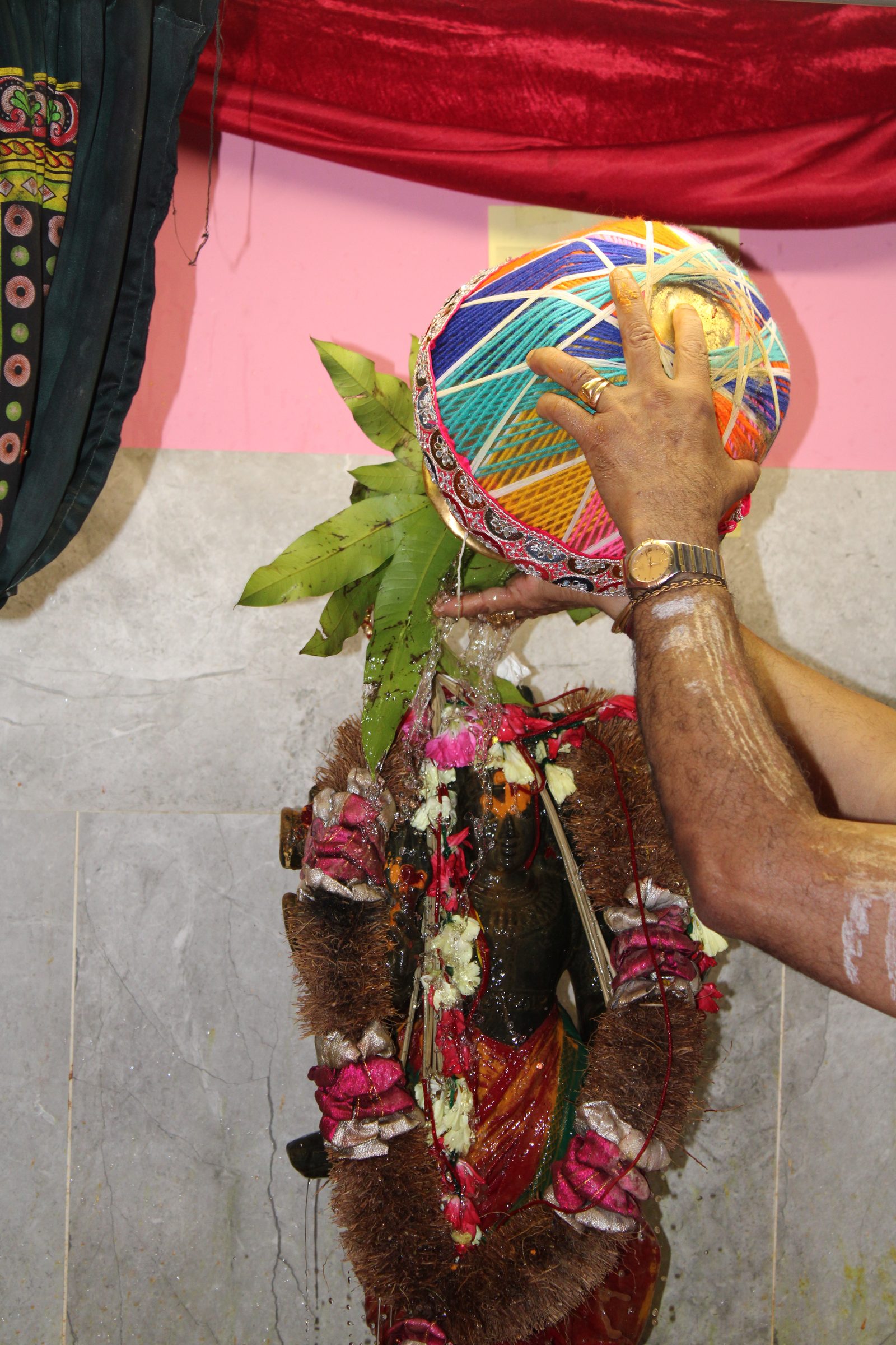 Festival 2024 photo