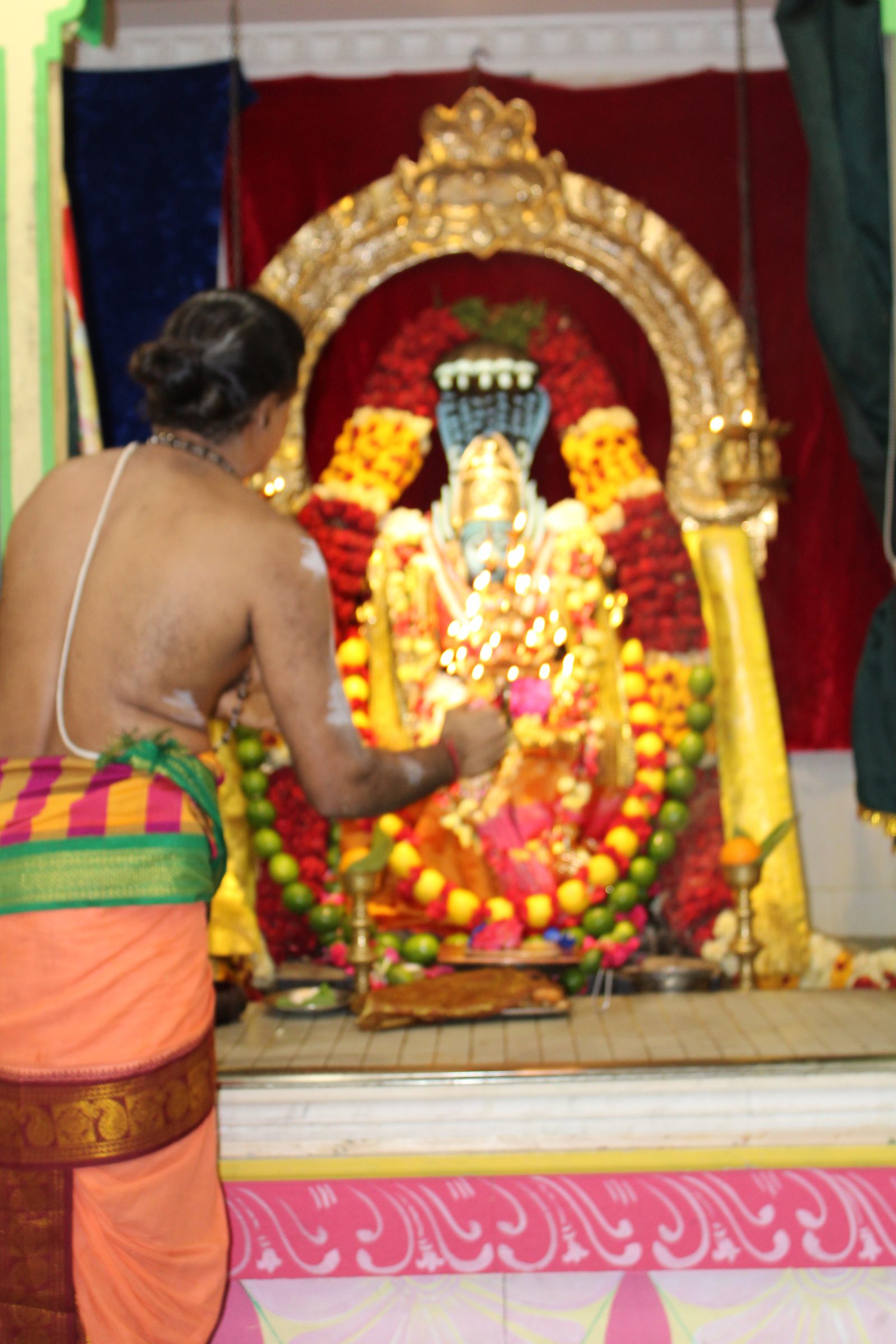 Festival 2024 photo