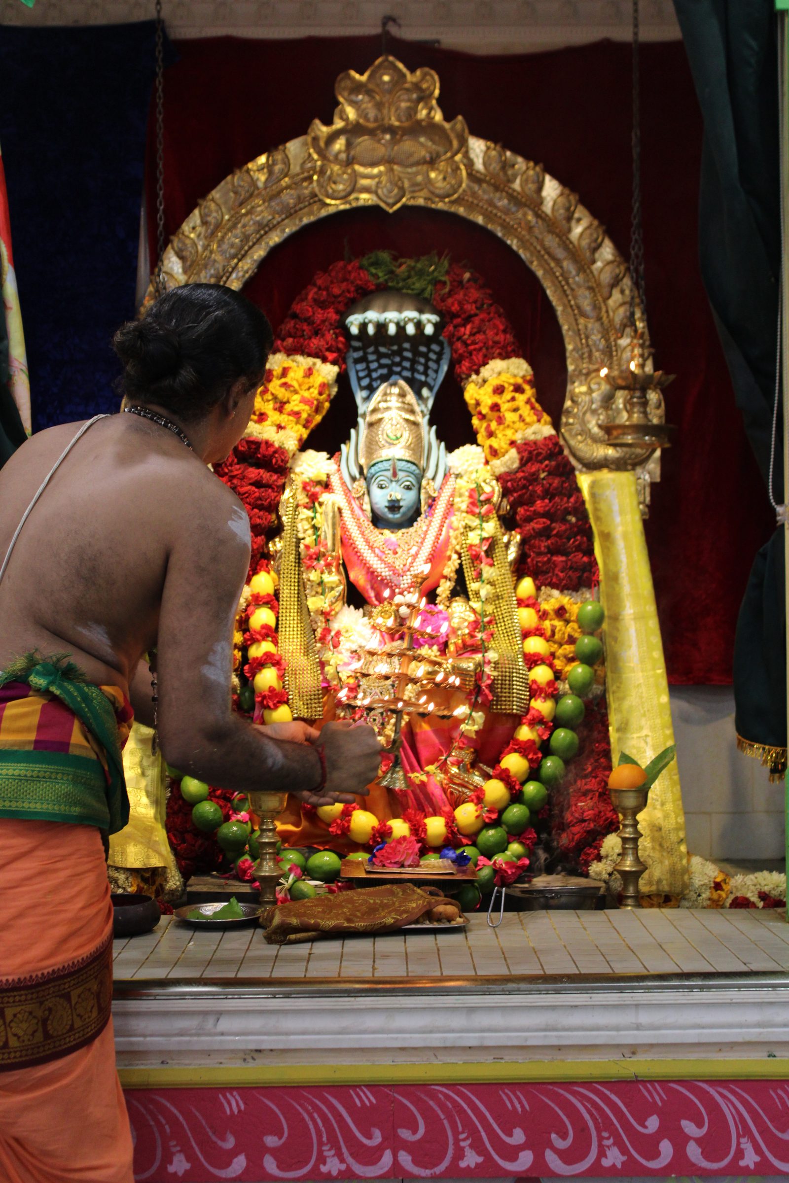 Festival 2024 photo