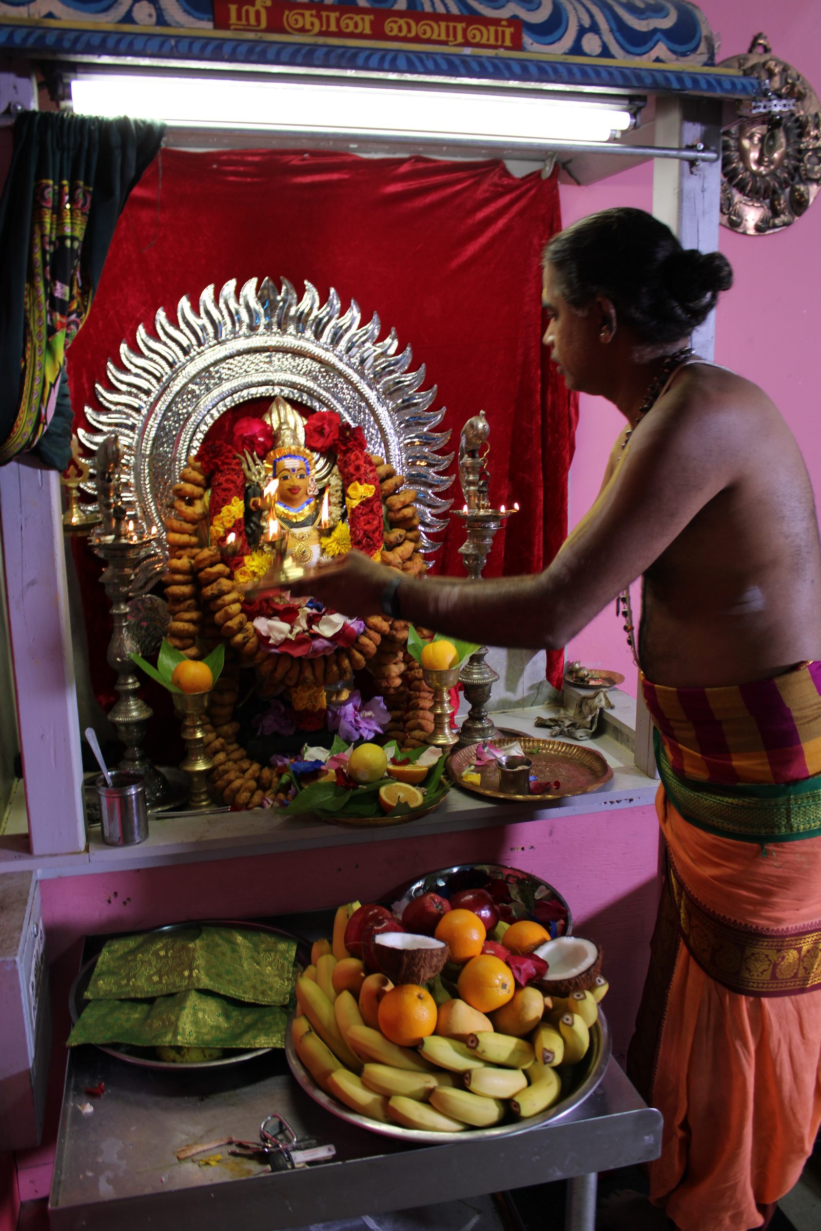 Festival 2024 photo
