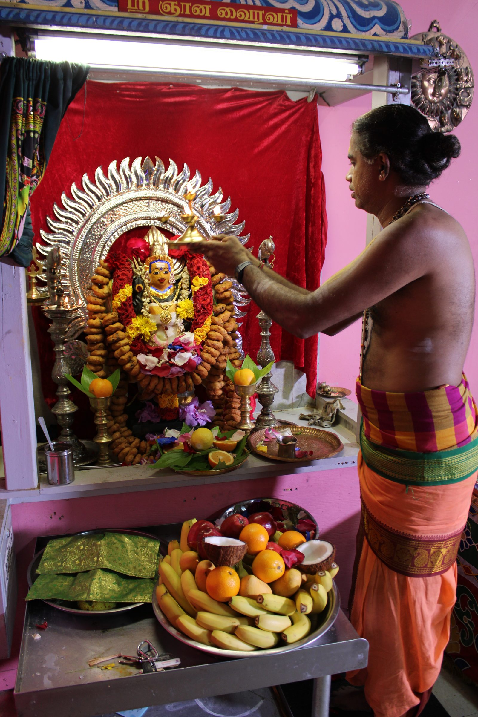 Festival 2024 photo