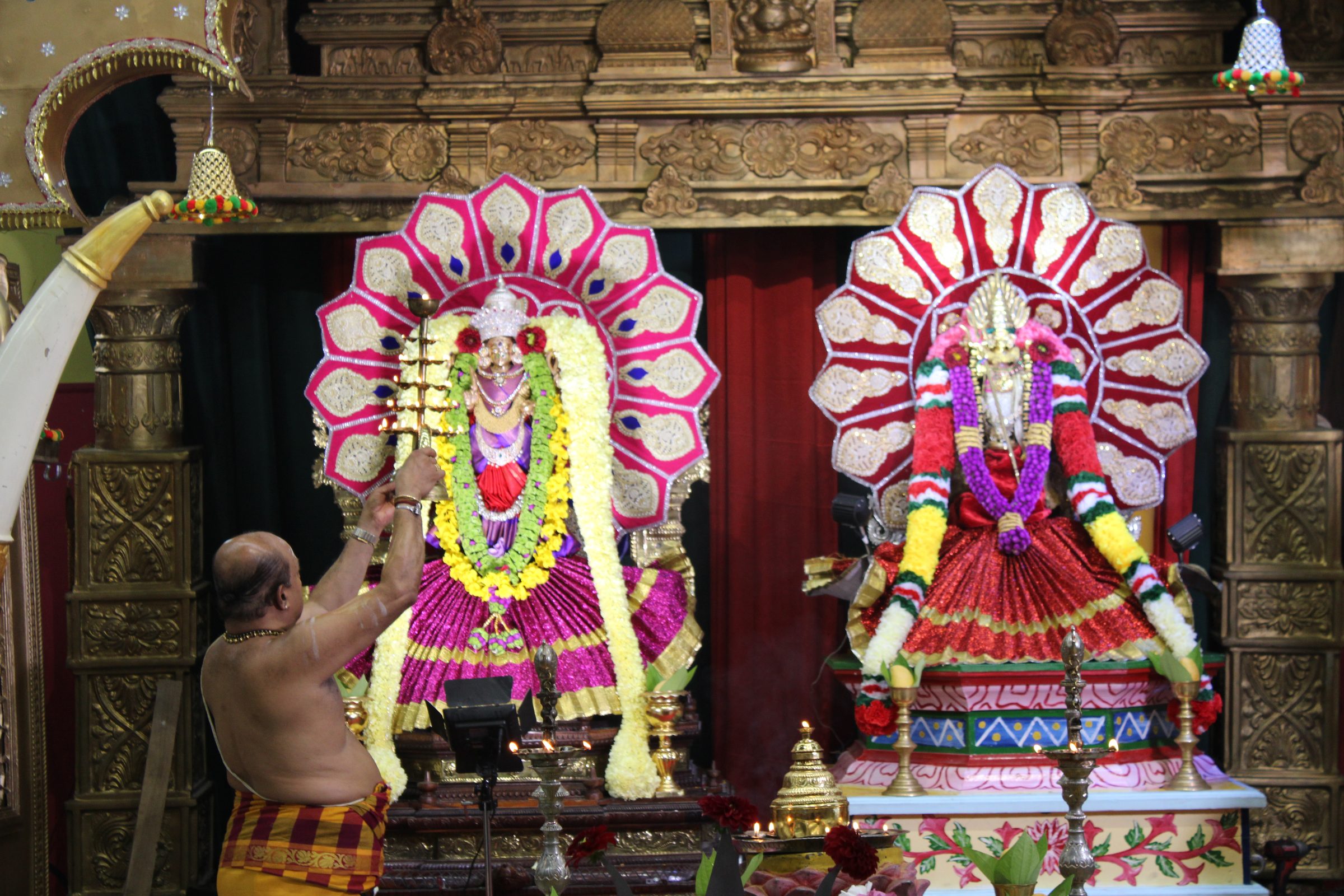 Festival 2024 photo