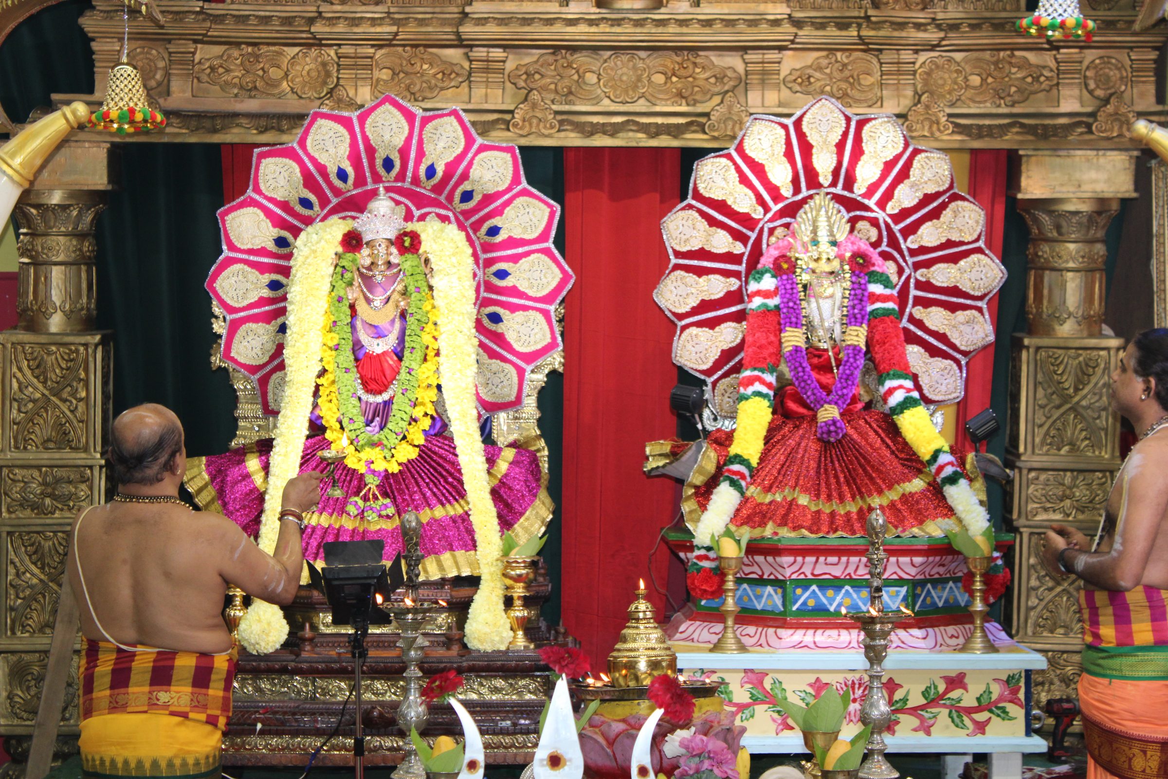 Festival 2024 photo