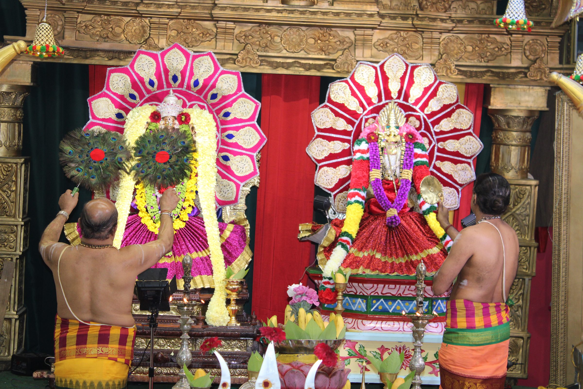 Festival 2024 photo