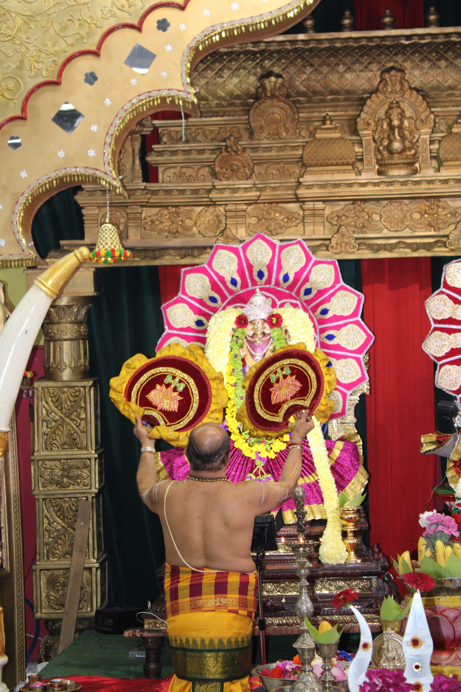 Festival 2024 photo