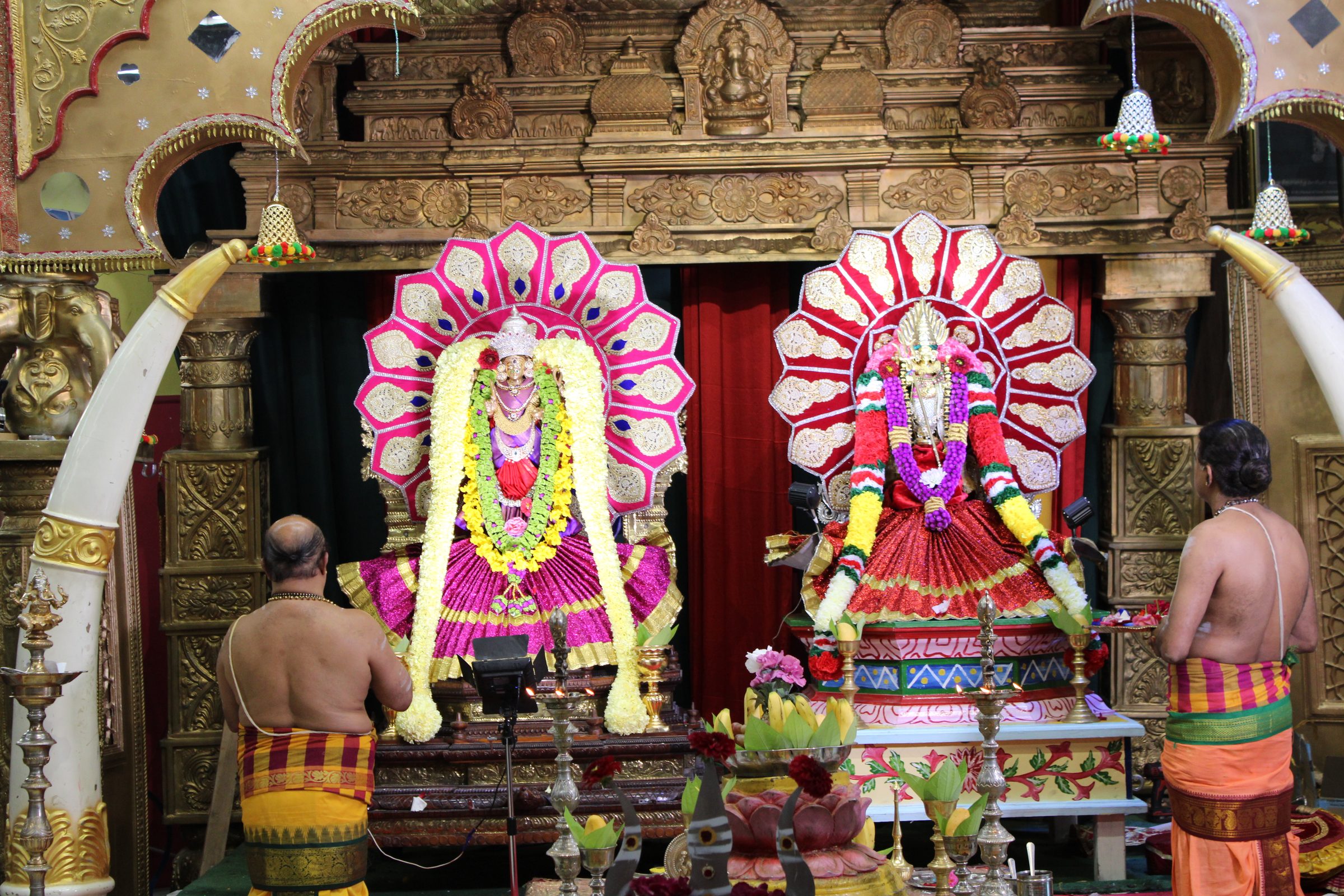 Festival 2024 photo