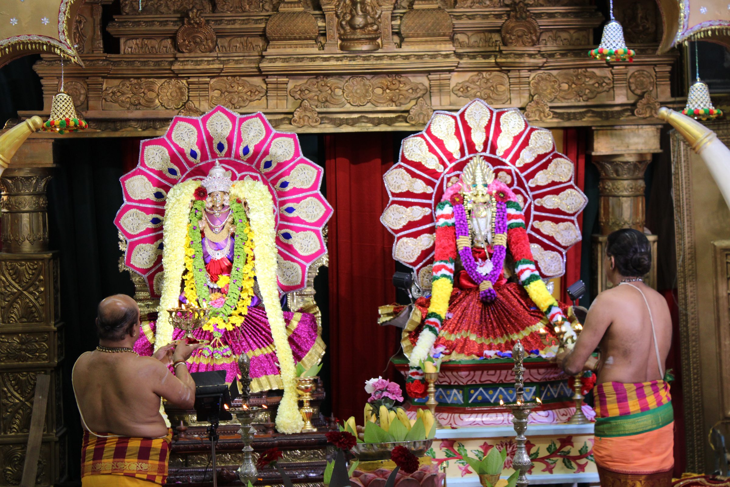 Festival 2024 photo