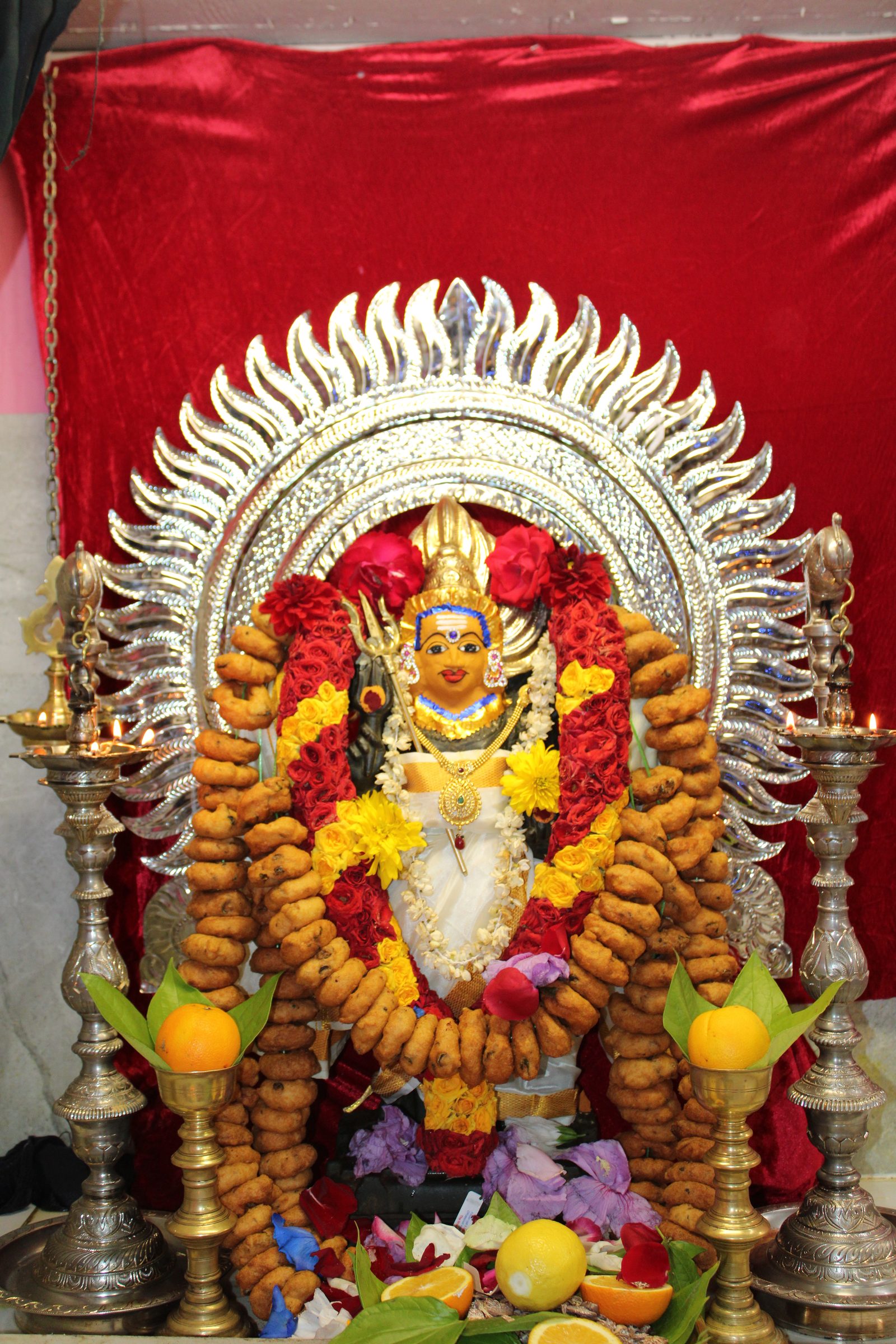 Festival 2024 photo