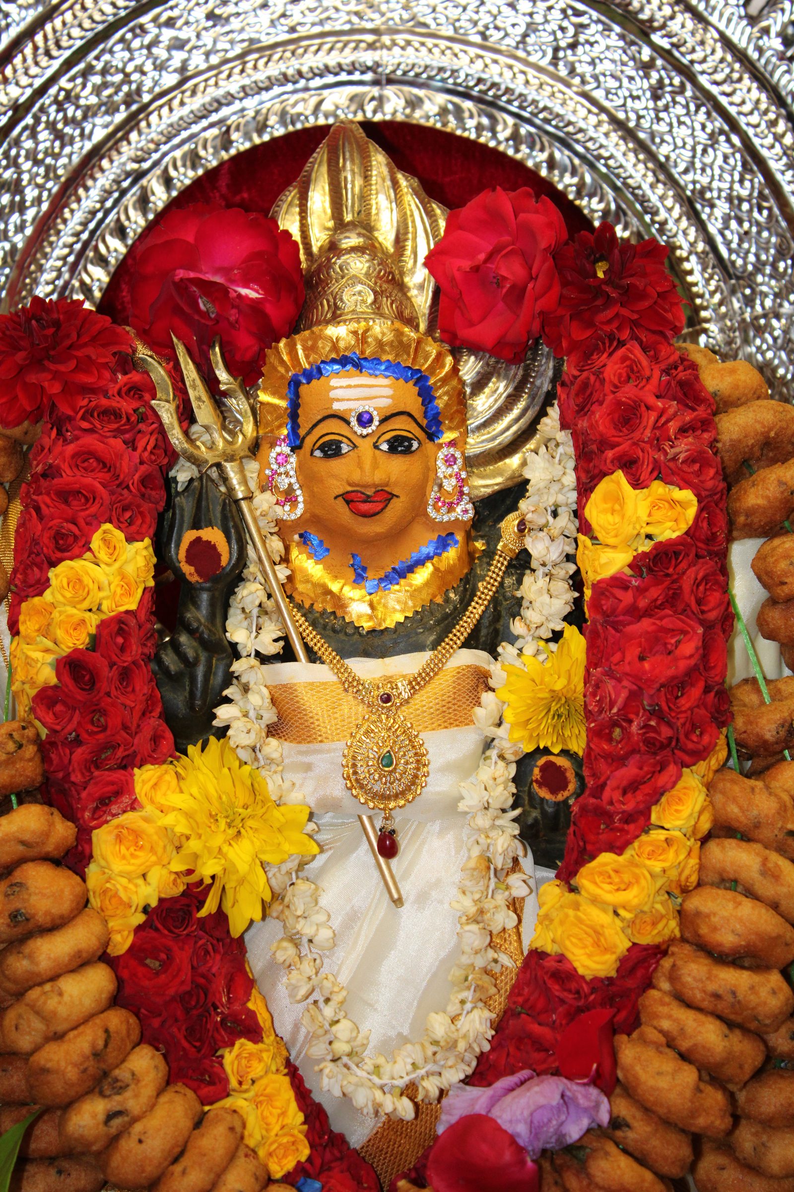 Festival 2024 photo