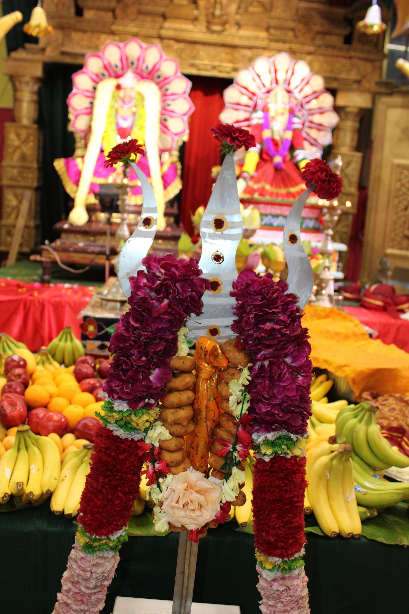 Festival 2024 photo