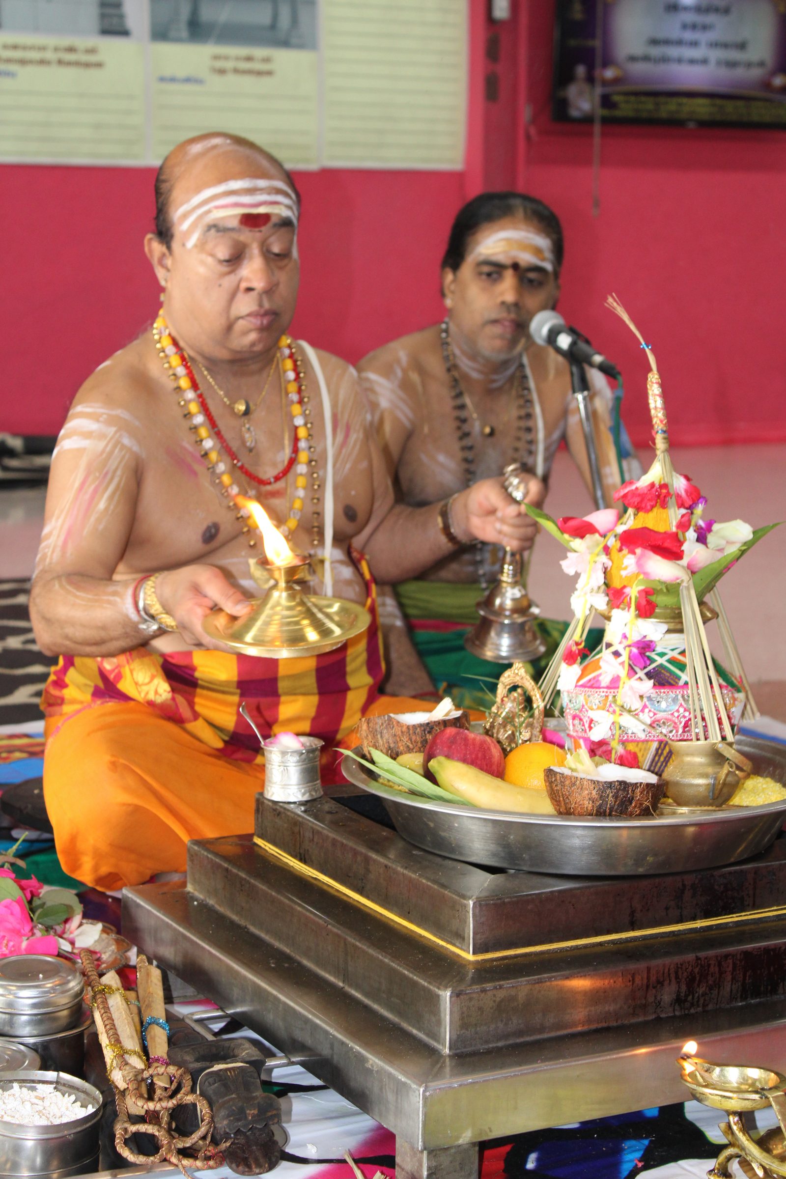 Festival 2024 photo