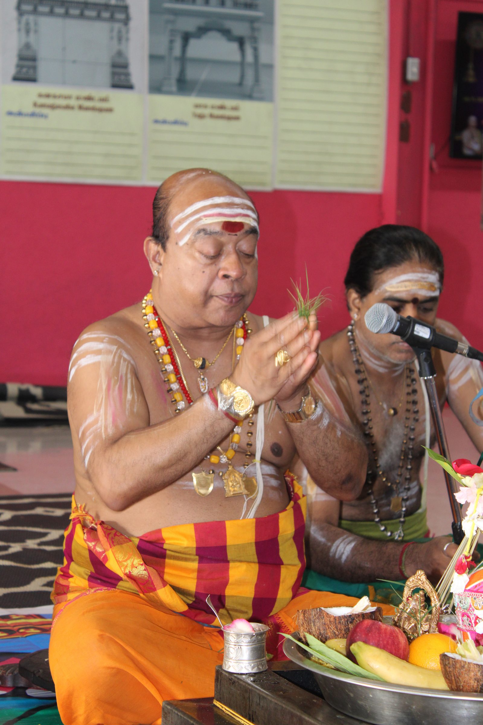 Festival 2024 photo