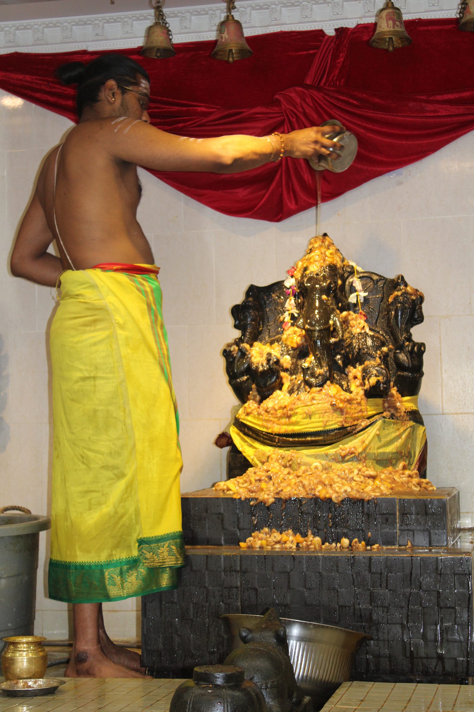 Festival 2024 photo