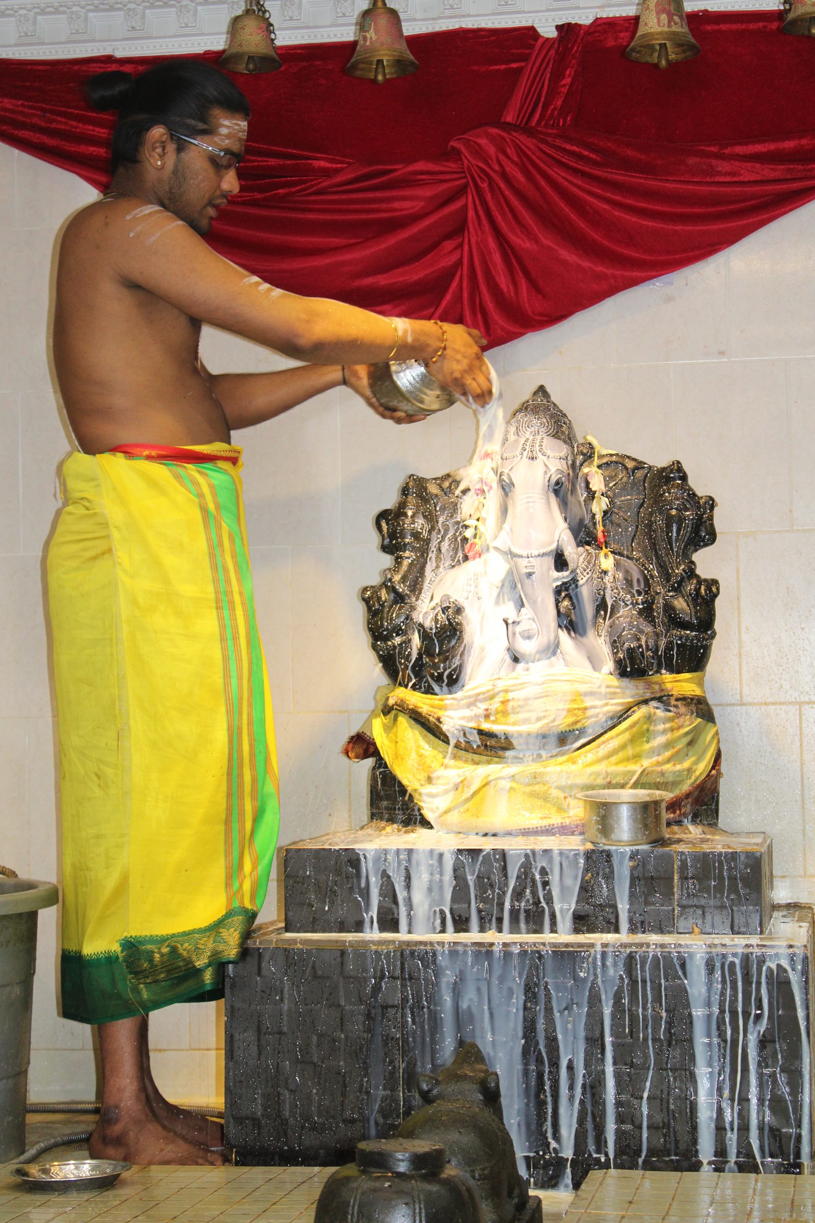 Festival 2024 photo