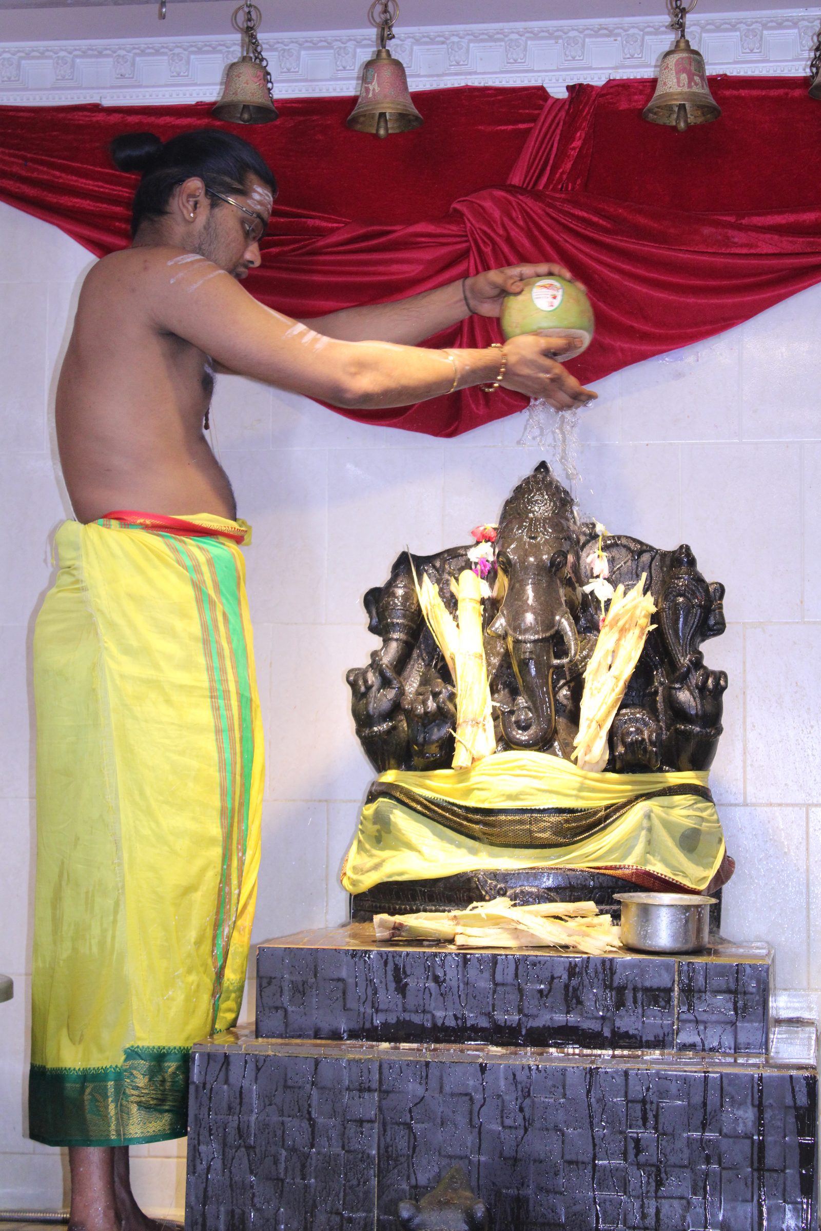 Festival 2024 photo