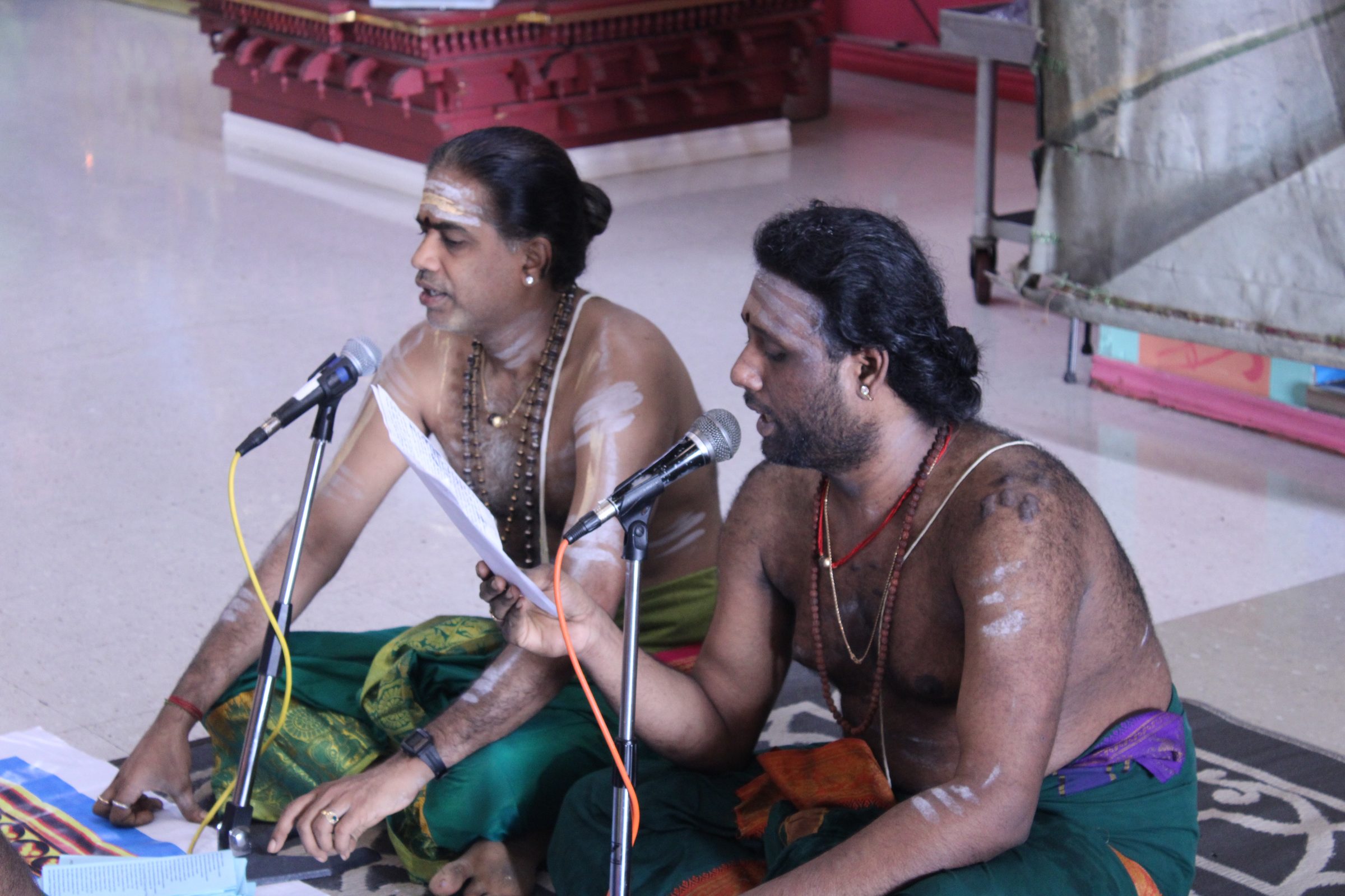 Festival 2024 photo