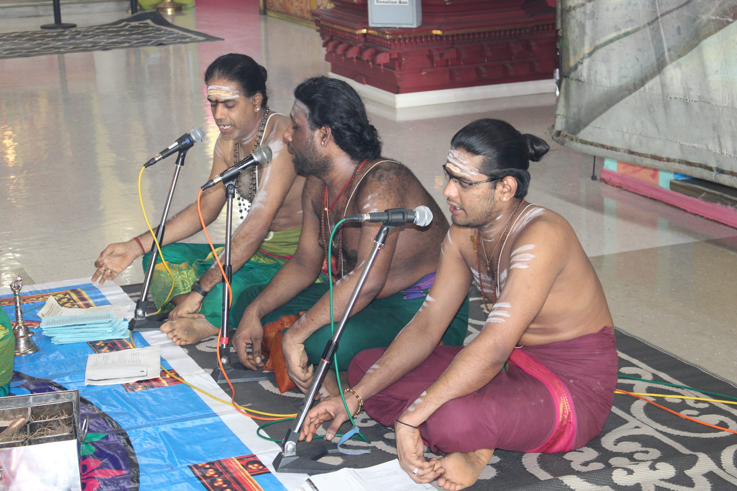 Festival 2024 photo