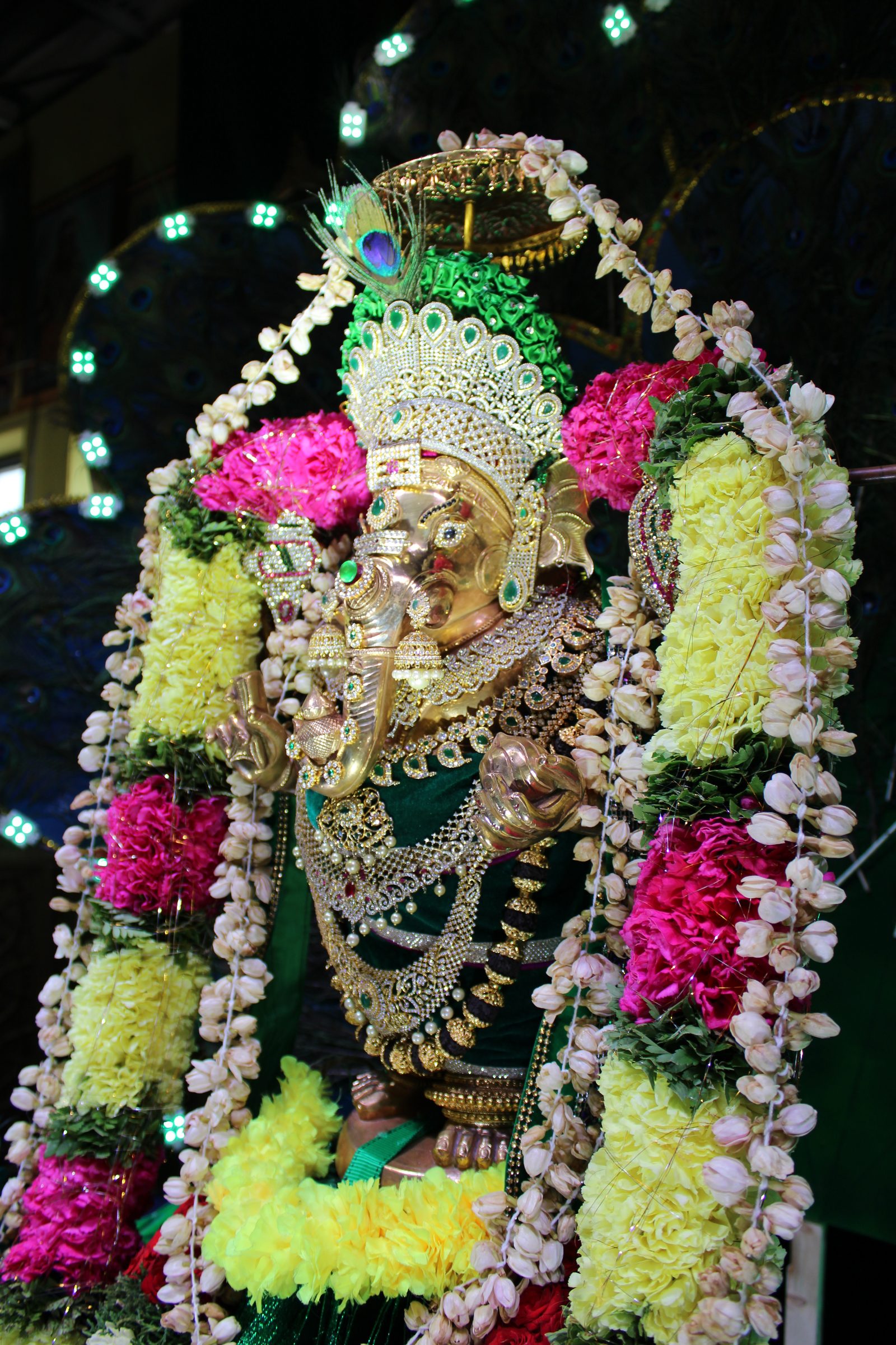 Festival 2024 photo
