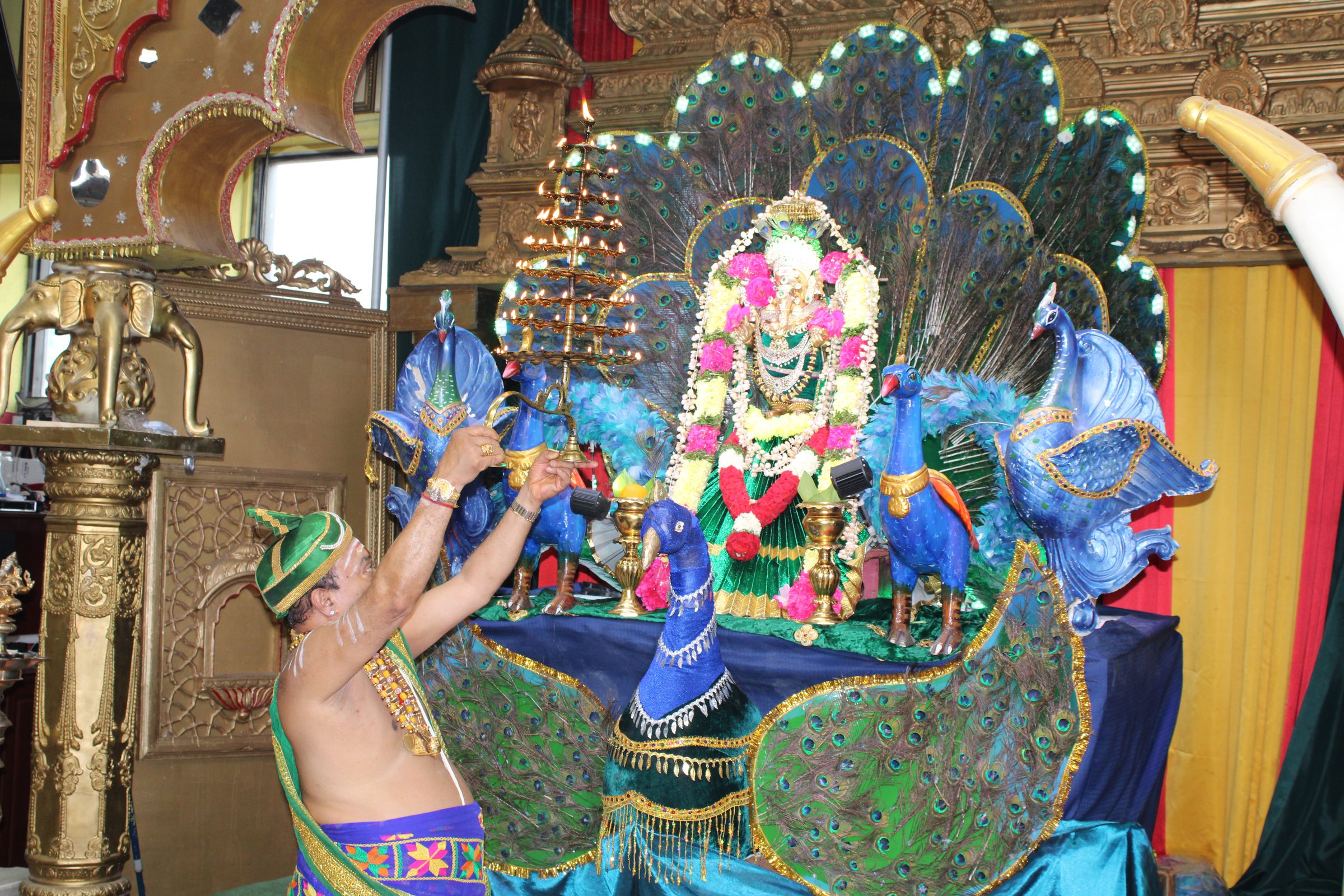 Festival 2024 photo