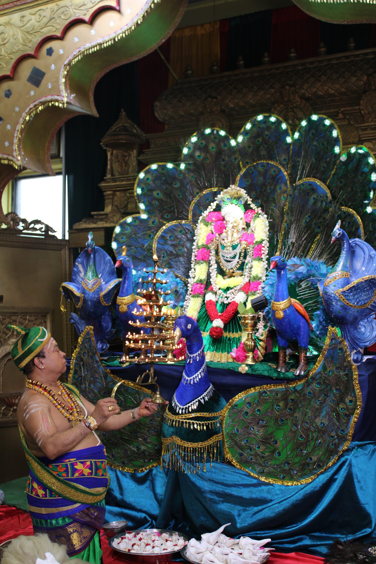 Festival 2024 photo