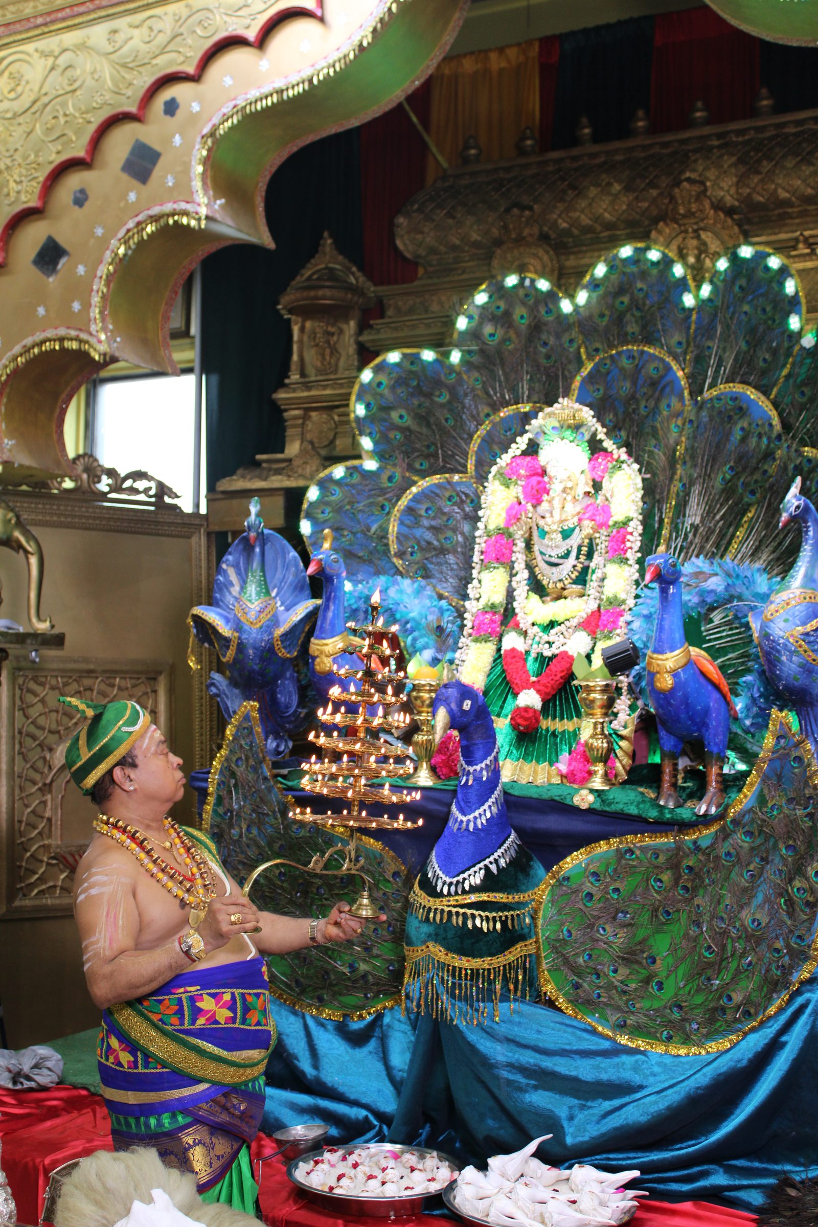 Festival 2024 photo