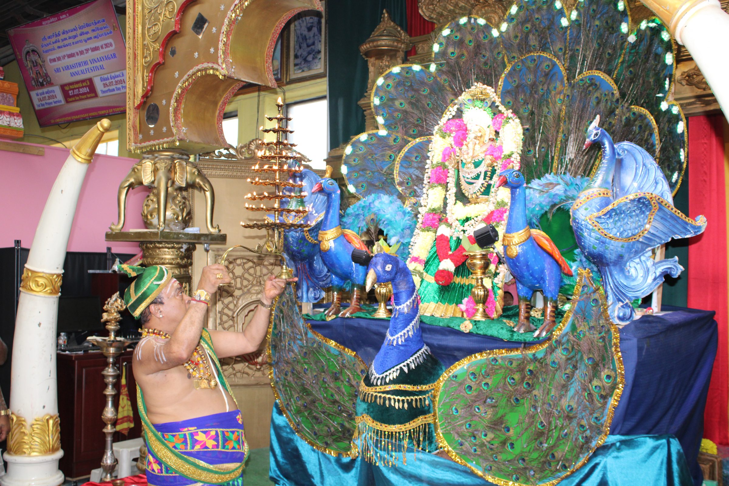Festival 2024 photo