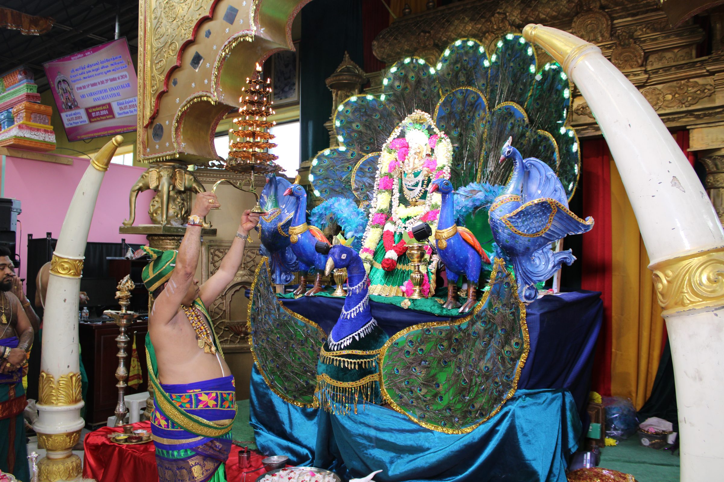 Festival 2024 photo