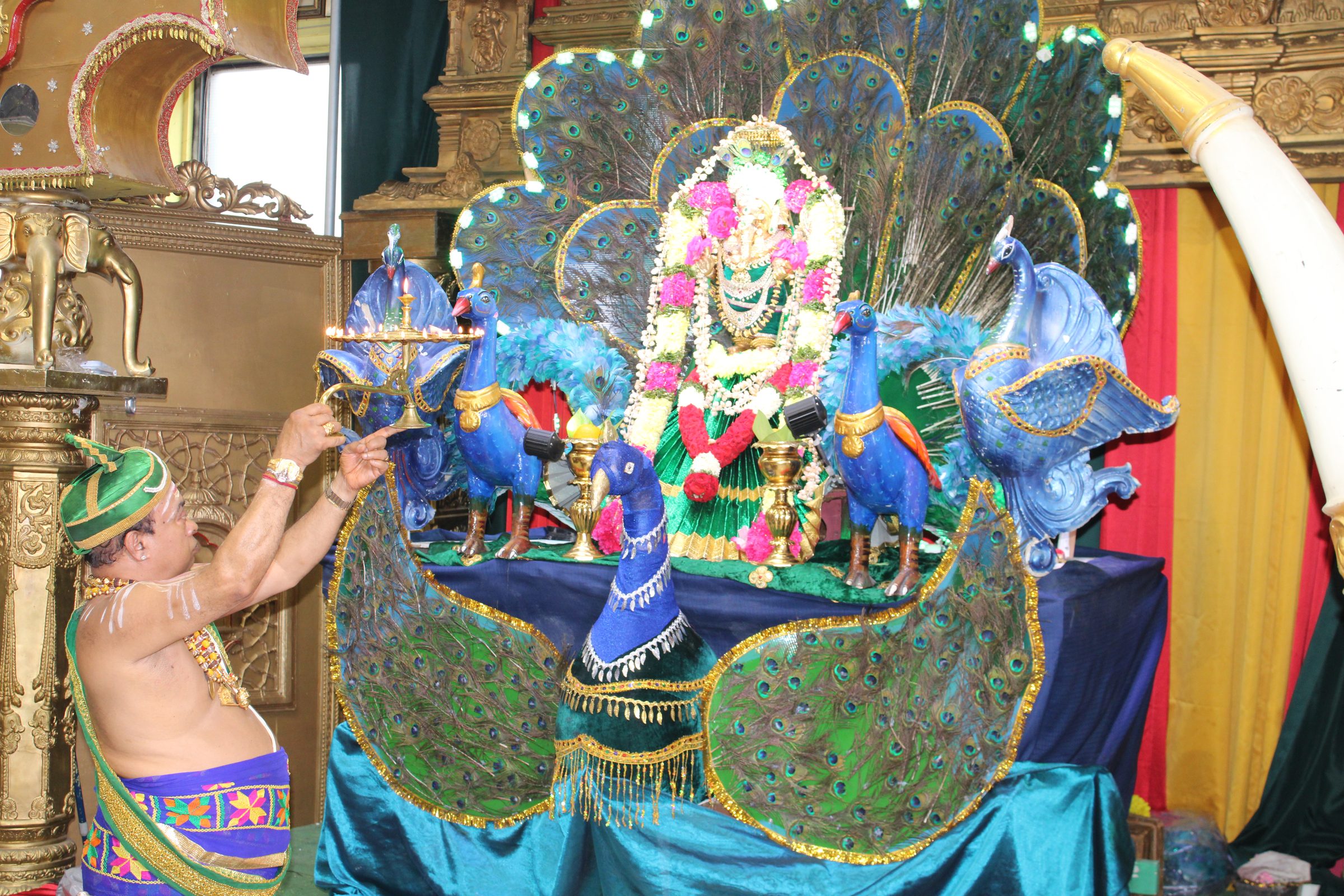 Festival 2024 photo