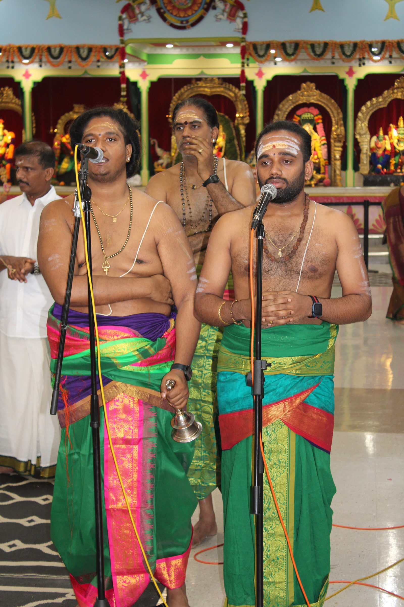 Festival 2024 photo