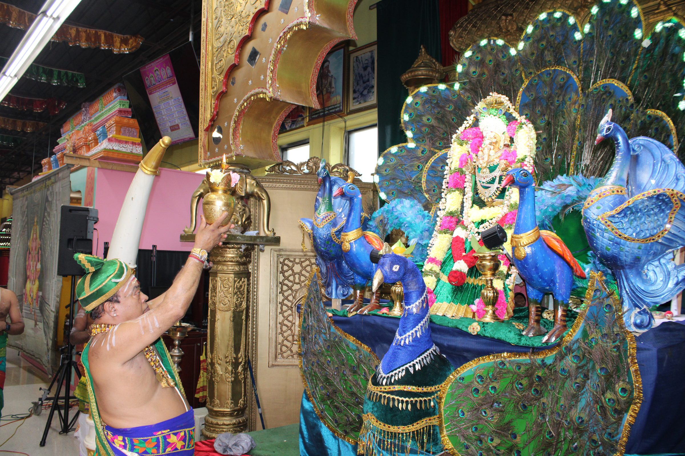 Festival 2024 photo