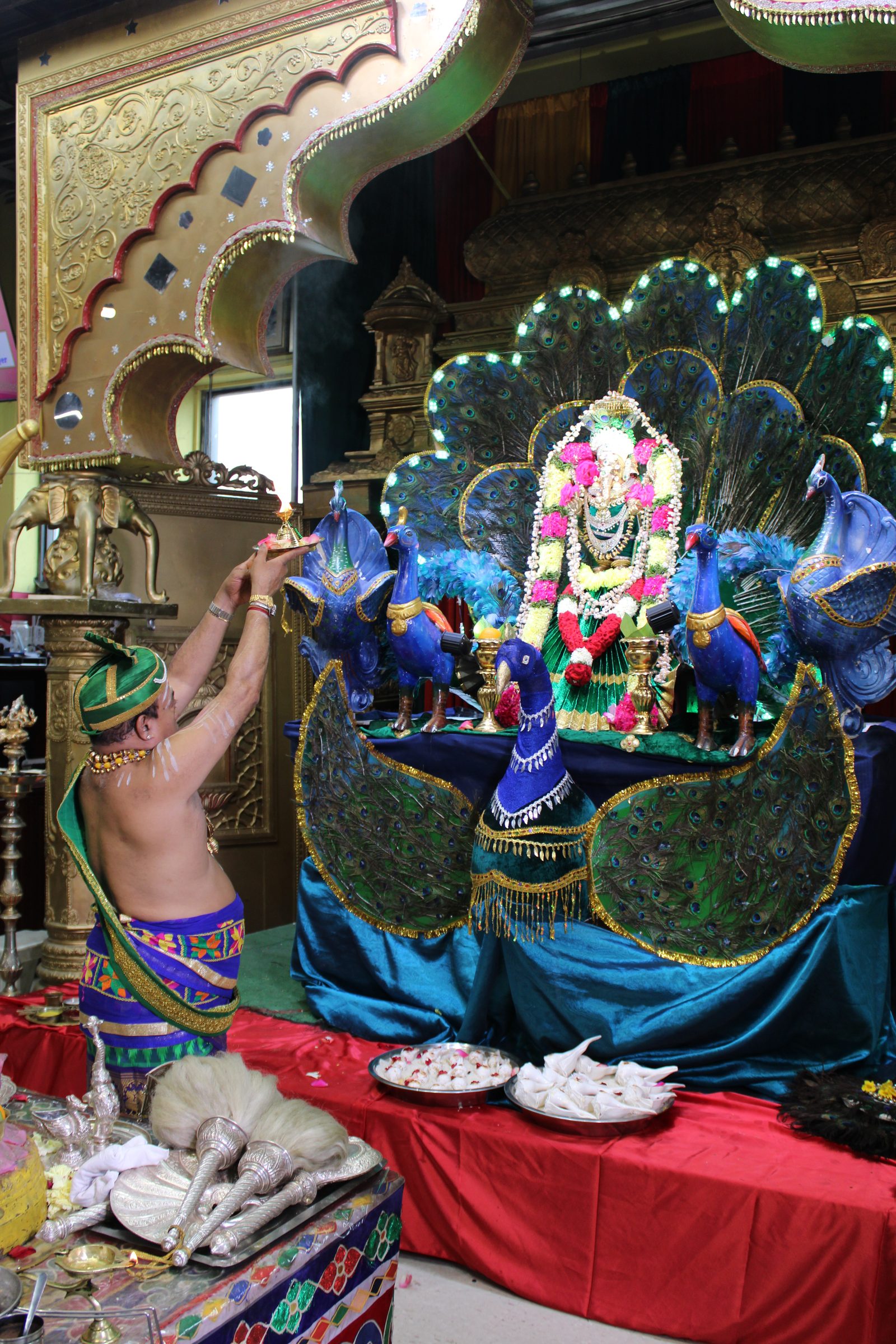Festival 2024 photo