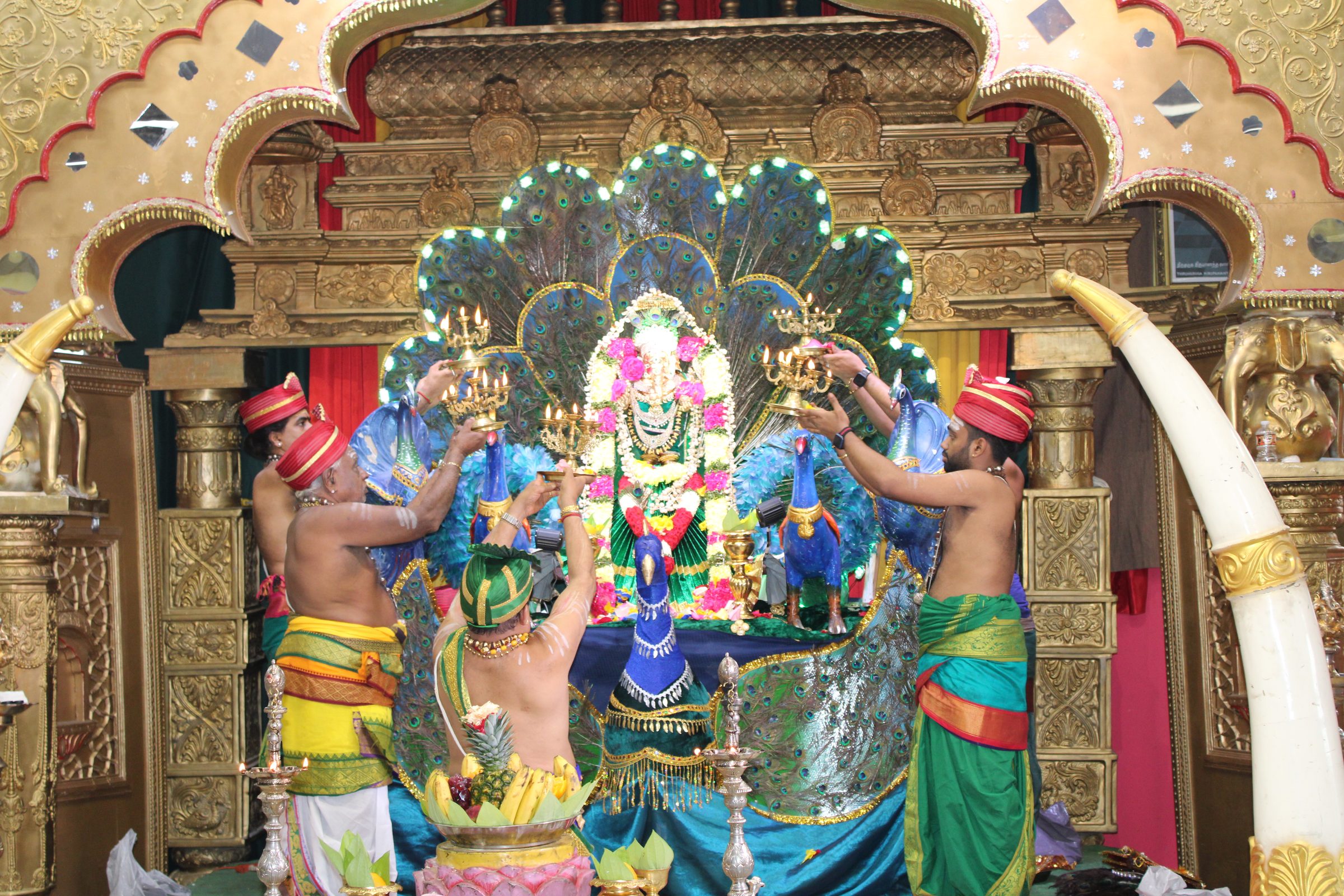 Festival 2024 photo