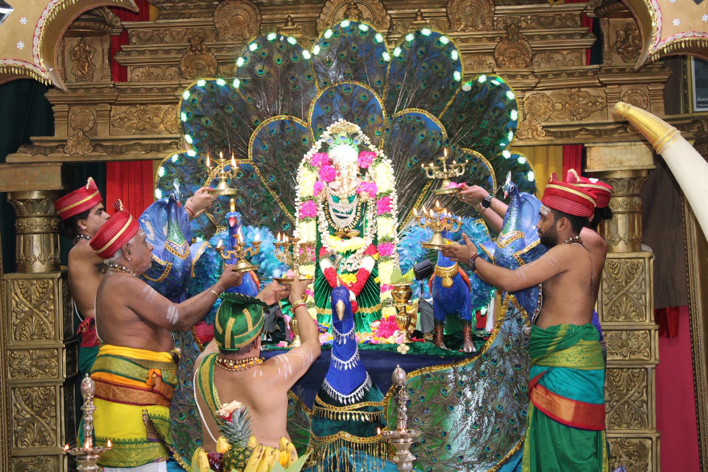 Festival 2024 photo