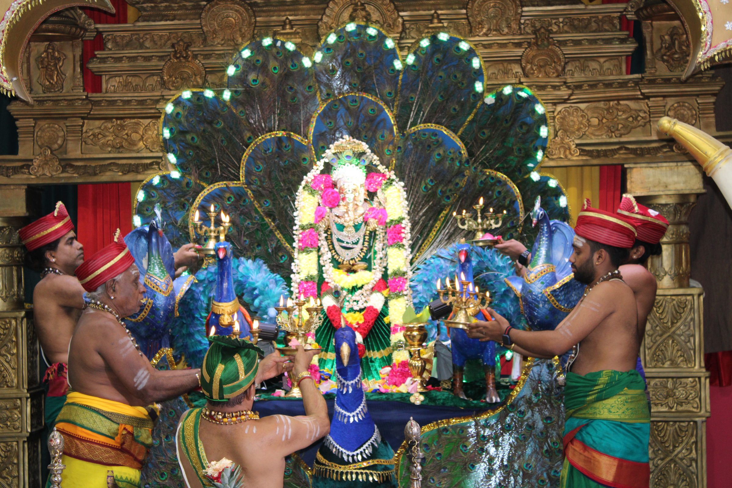 Festival 2024 photo