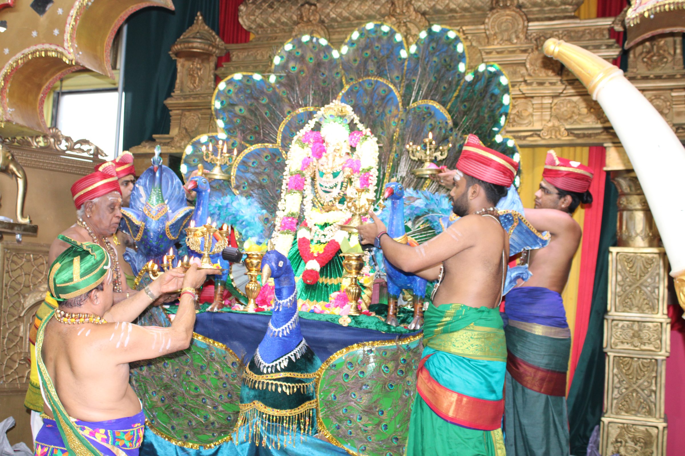Festival 2024 photo