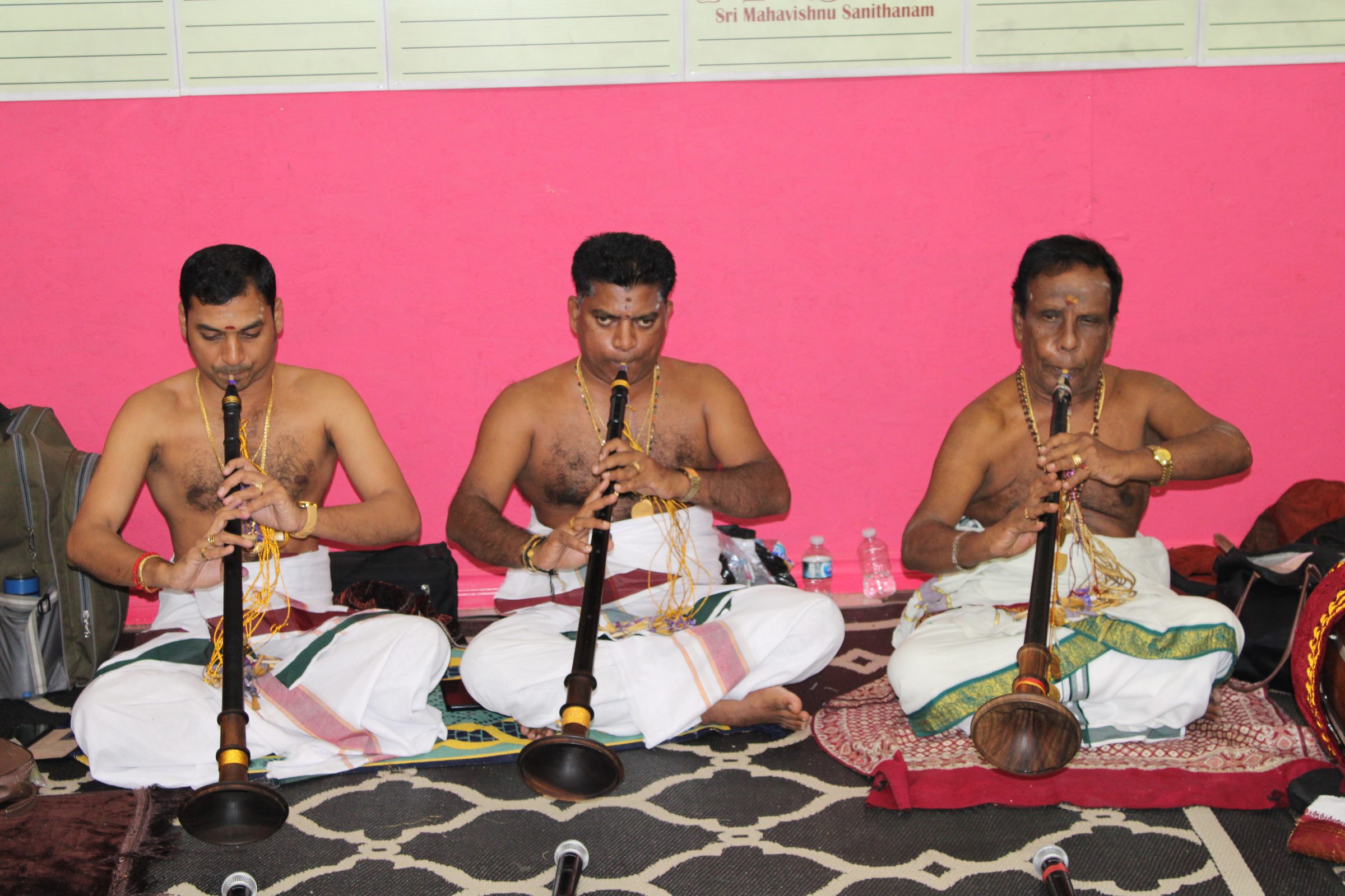 Festival 2024 photo
