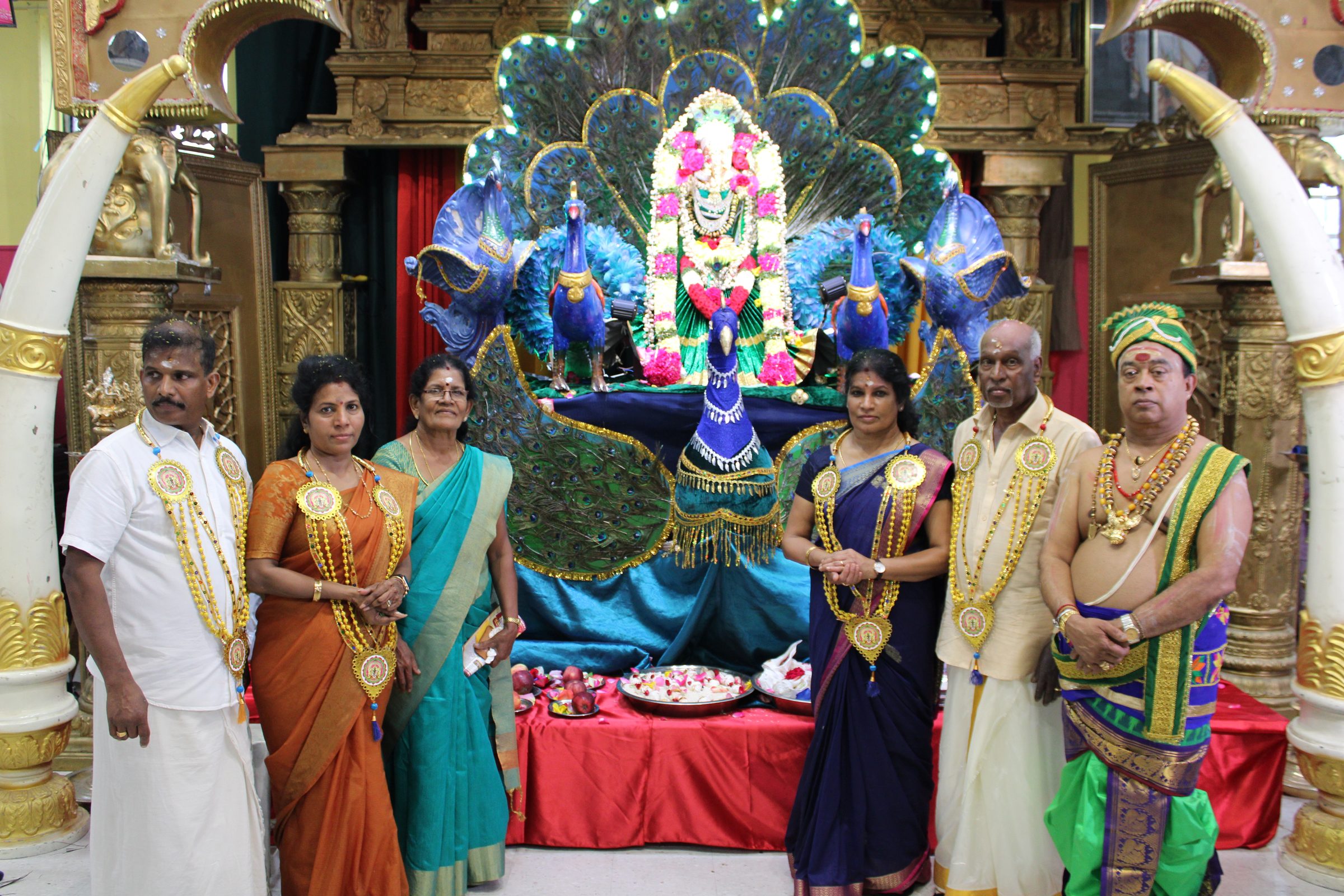 Festival 2024 photo