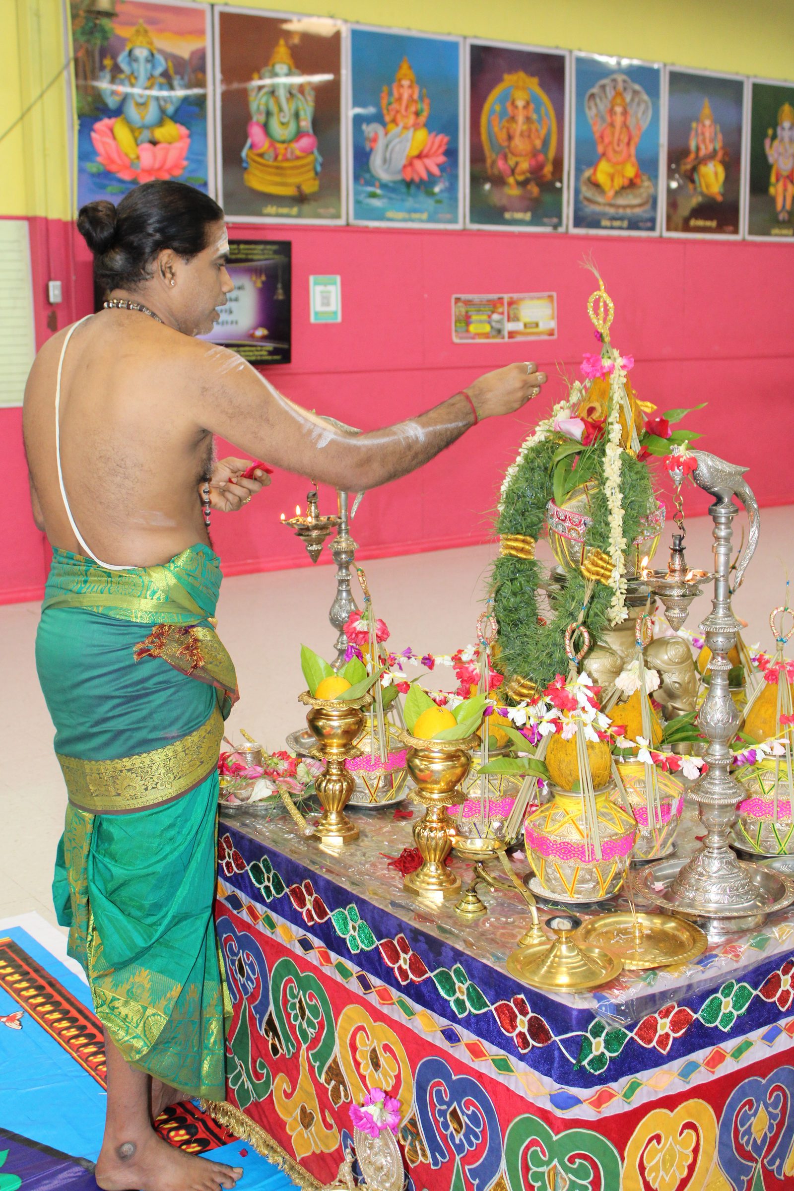 Festival 2024 photo