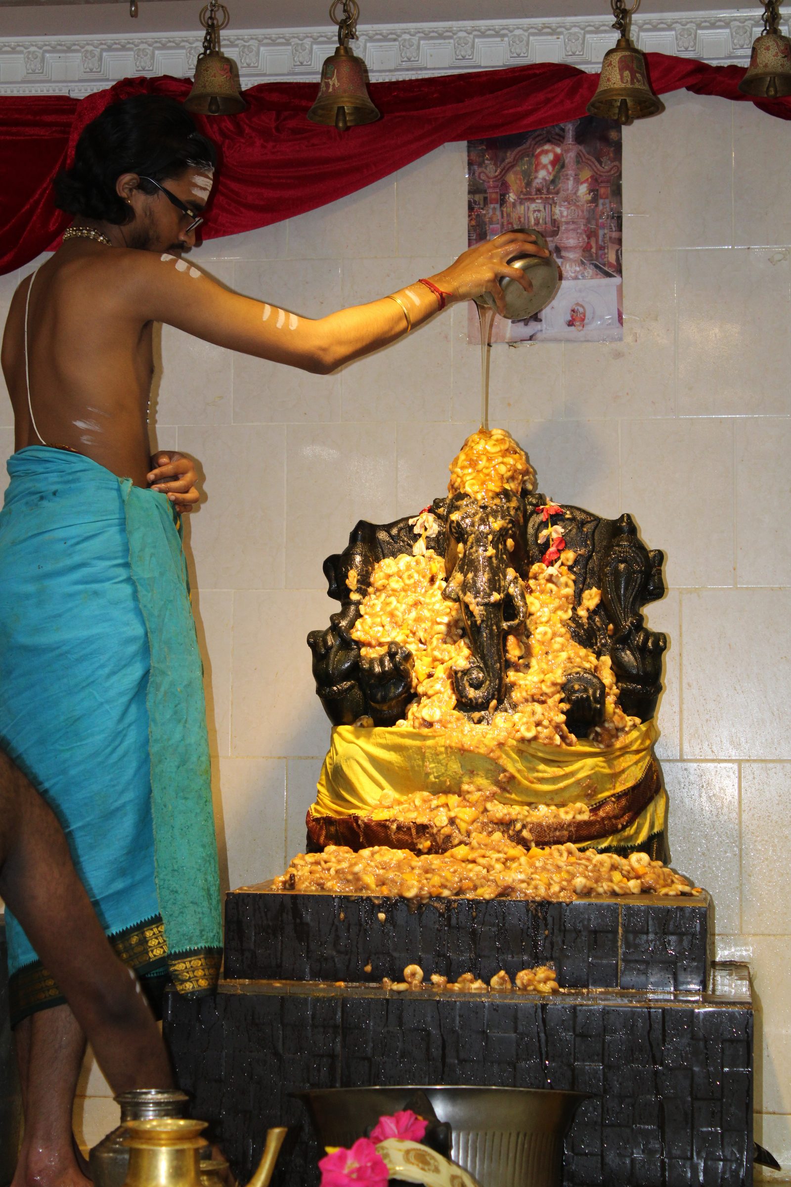 Festival 2024 photo