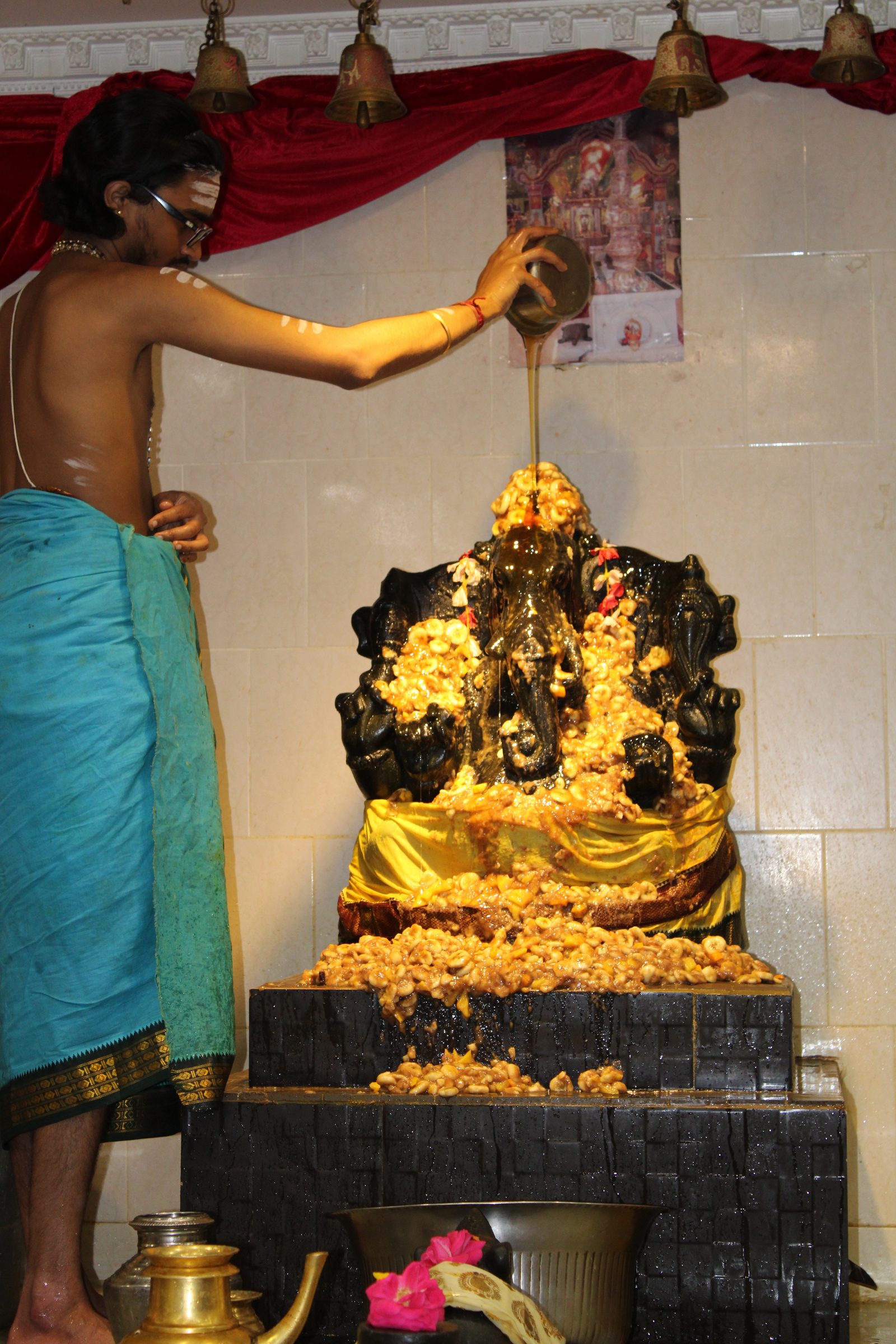 Festival 2024 photo