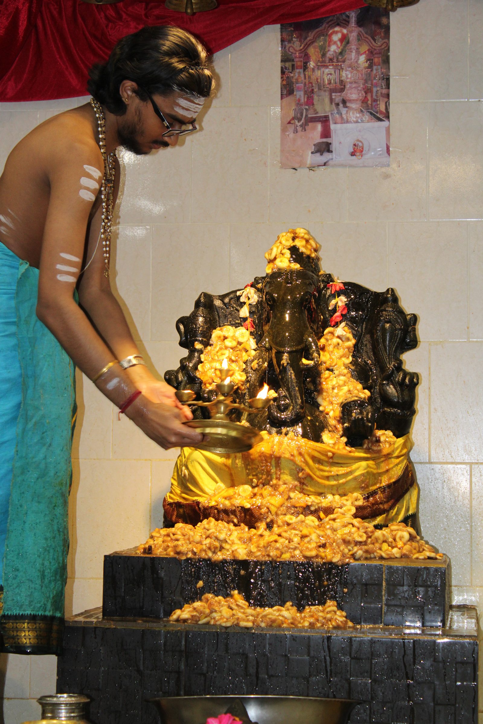 Festival 2024 photo