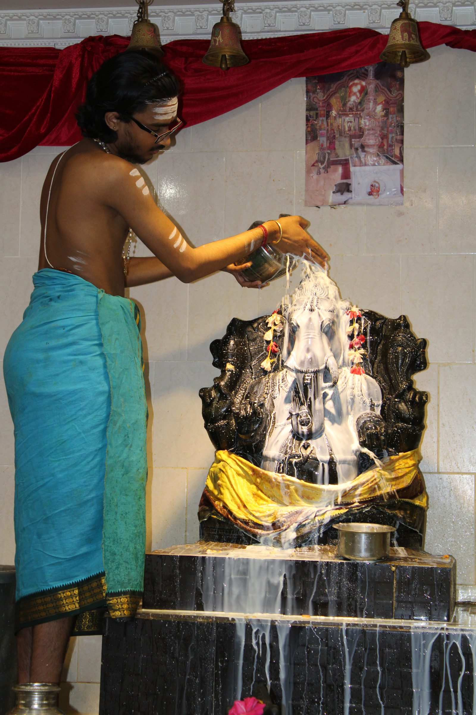 Festival 2024 photo