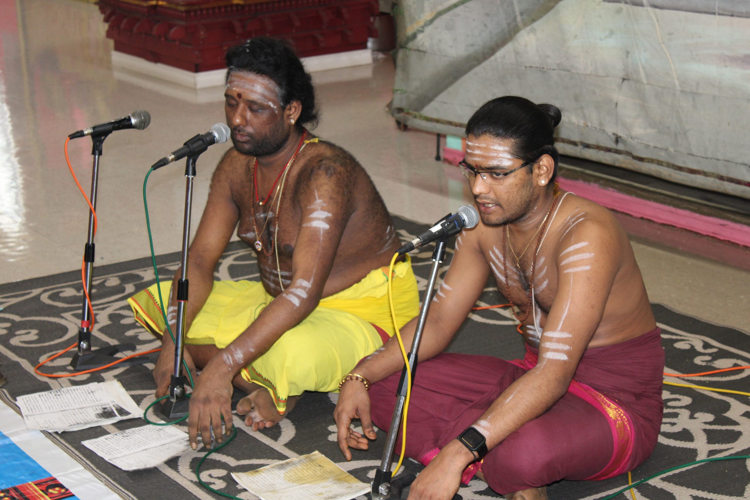 Festival 2024 photo