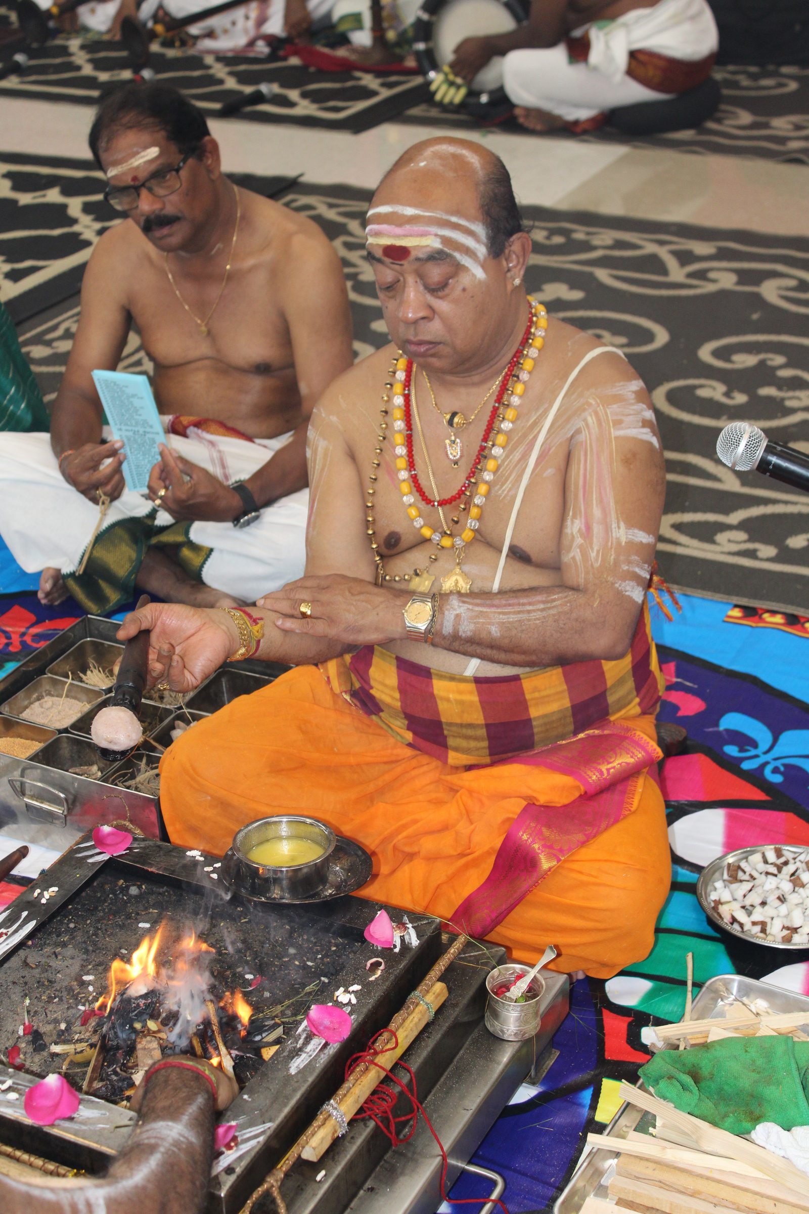 Festival 2024 photo