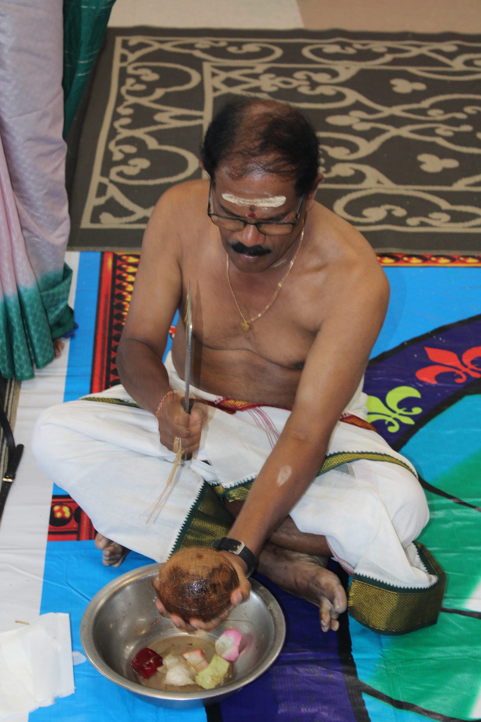 Festival 2024 photo