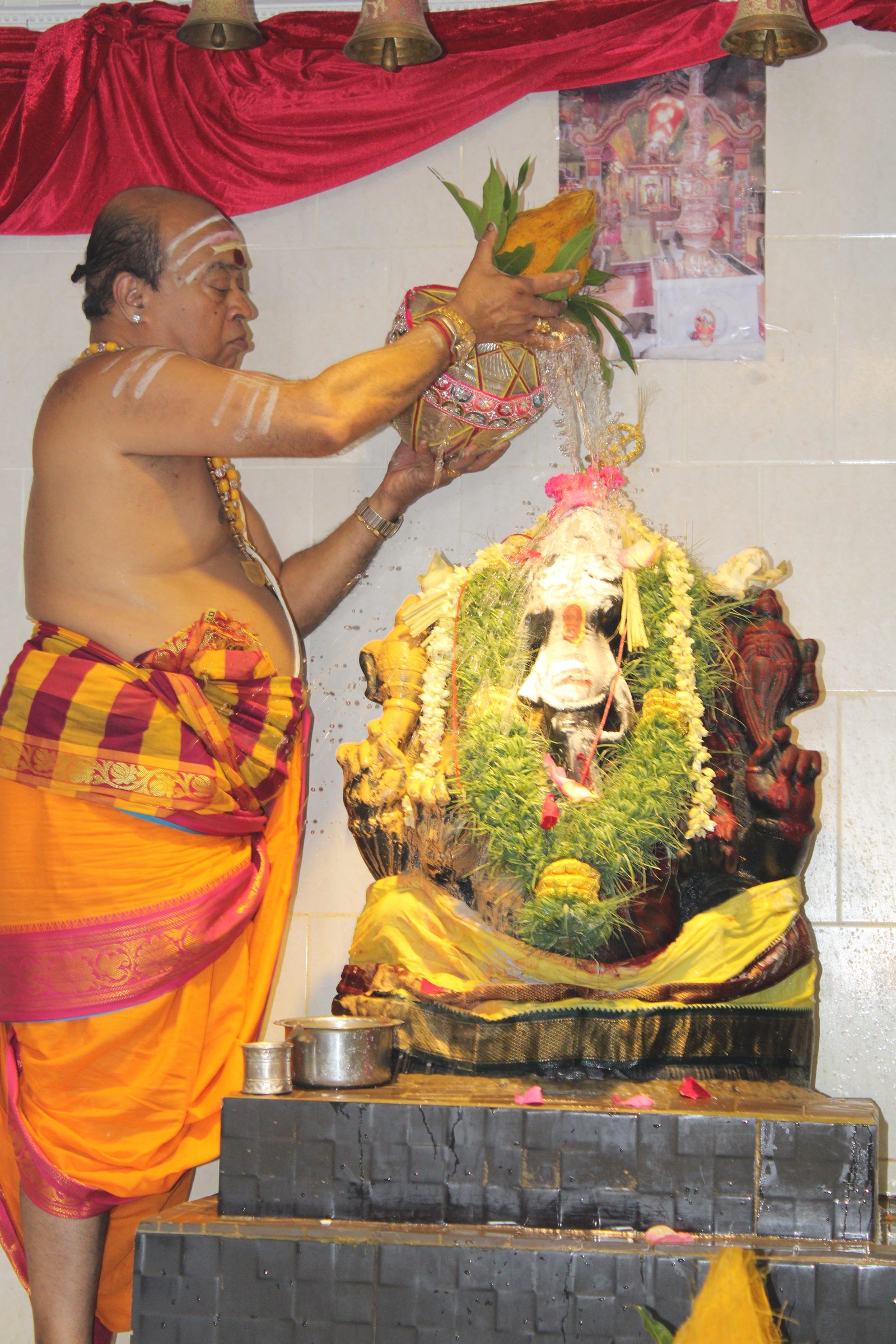 Festival 2024 photo