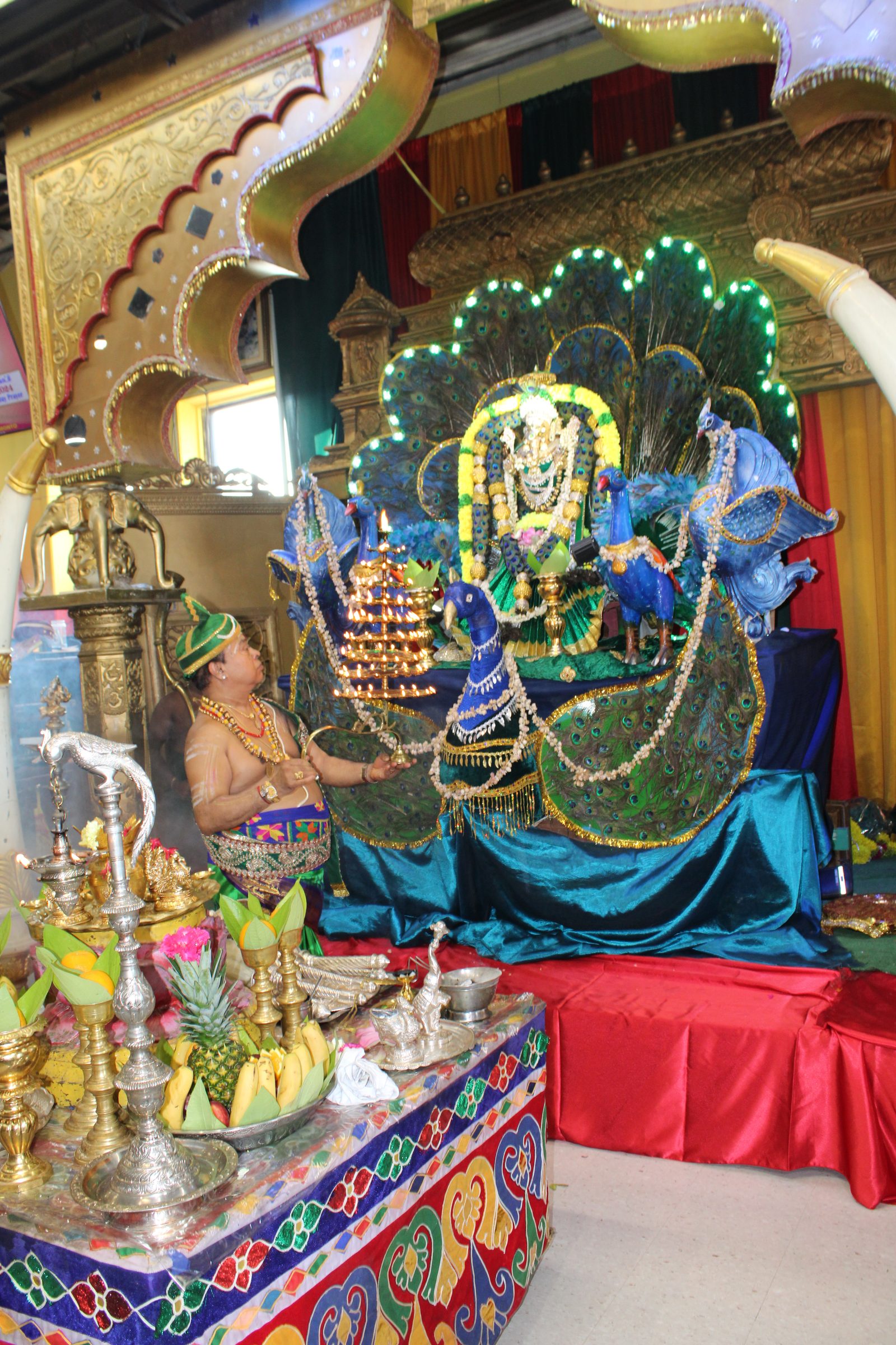 Festival 2024 photo